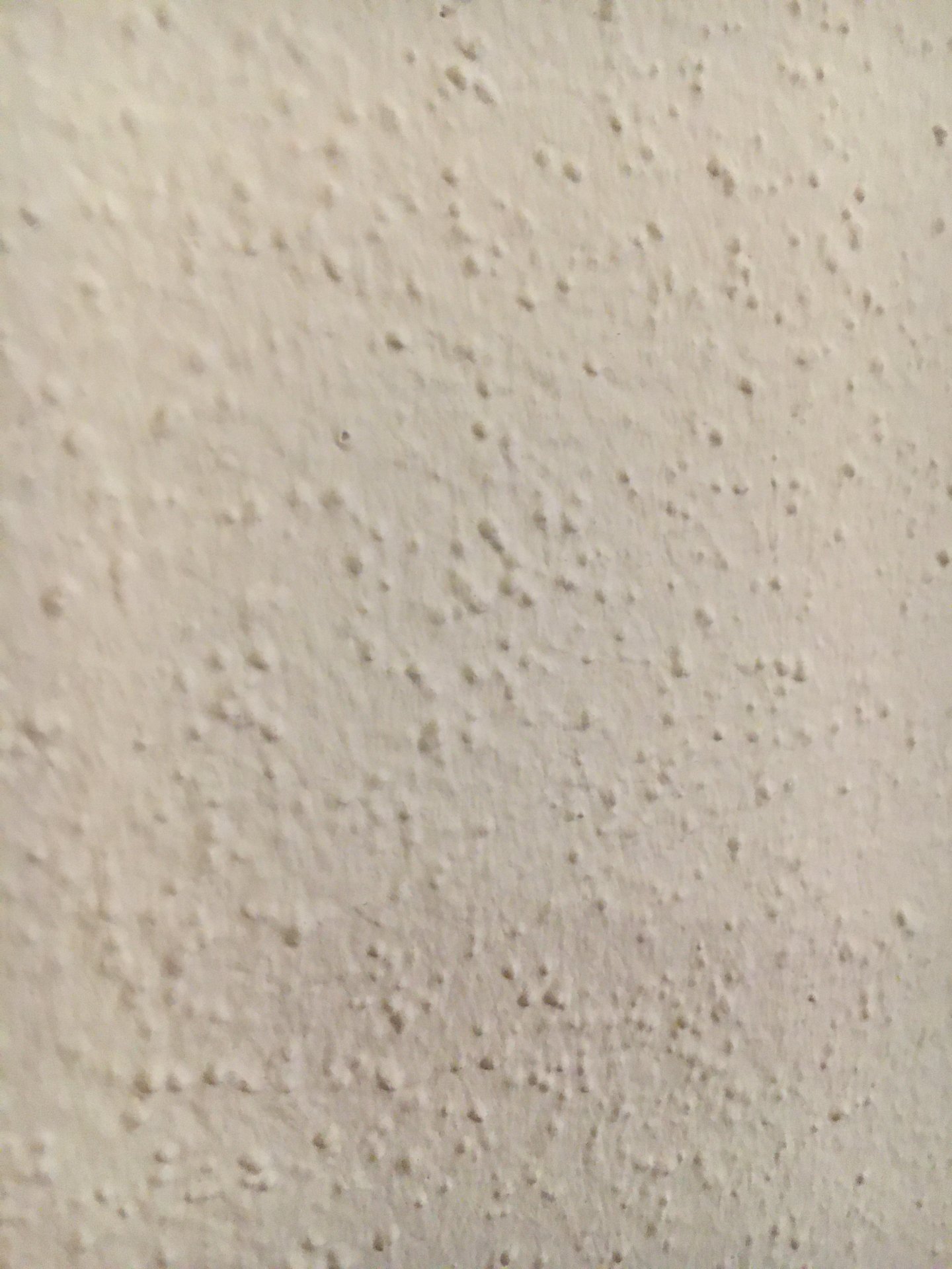 7374D571-80E3-4902-B8B0-4B24EB87DF66.jpeg