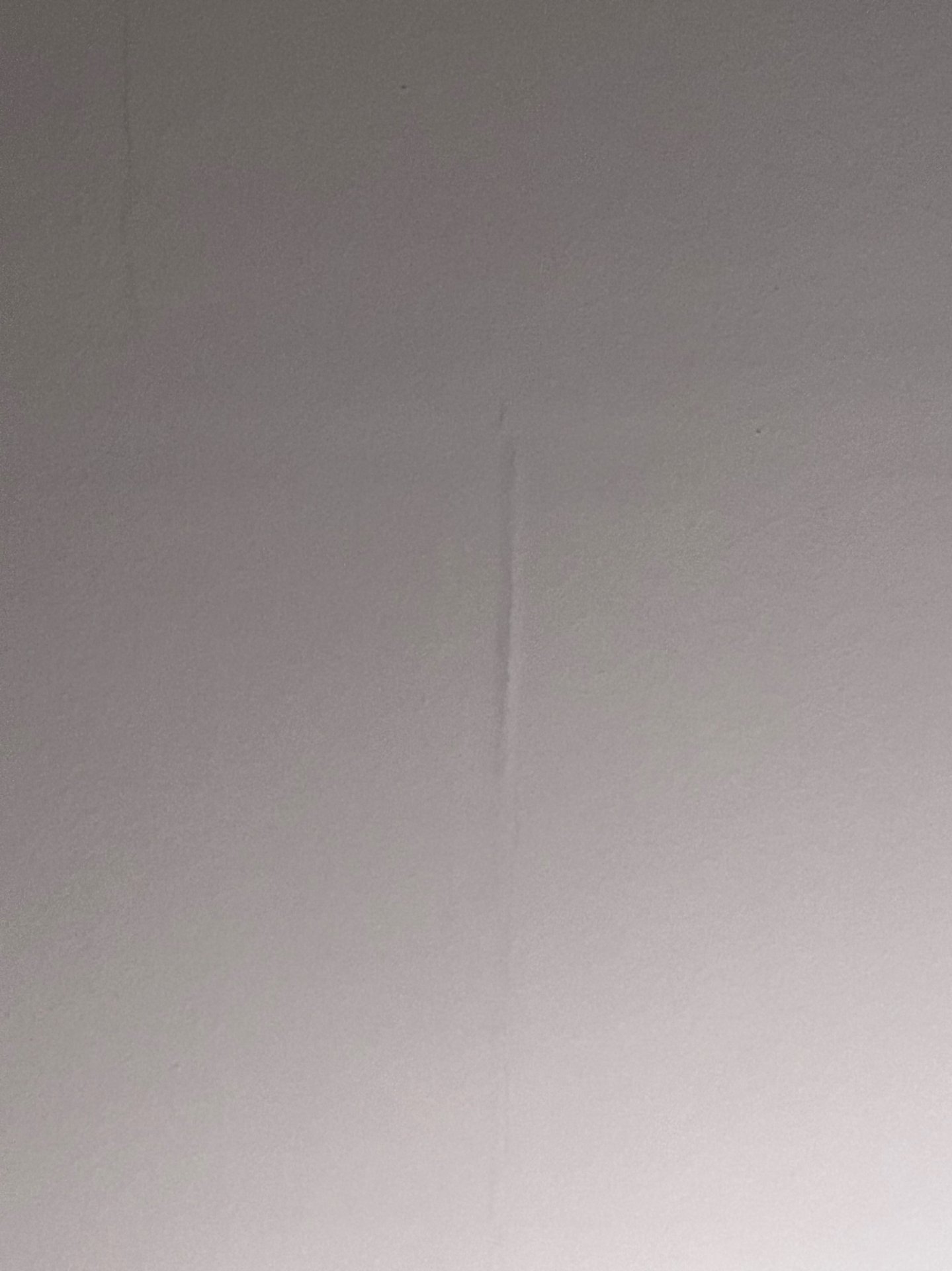 77535127-601E-457D-8EC9-4250DD69E712.jpeg