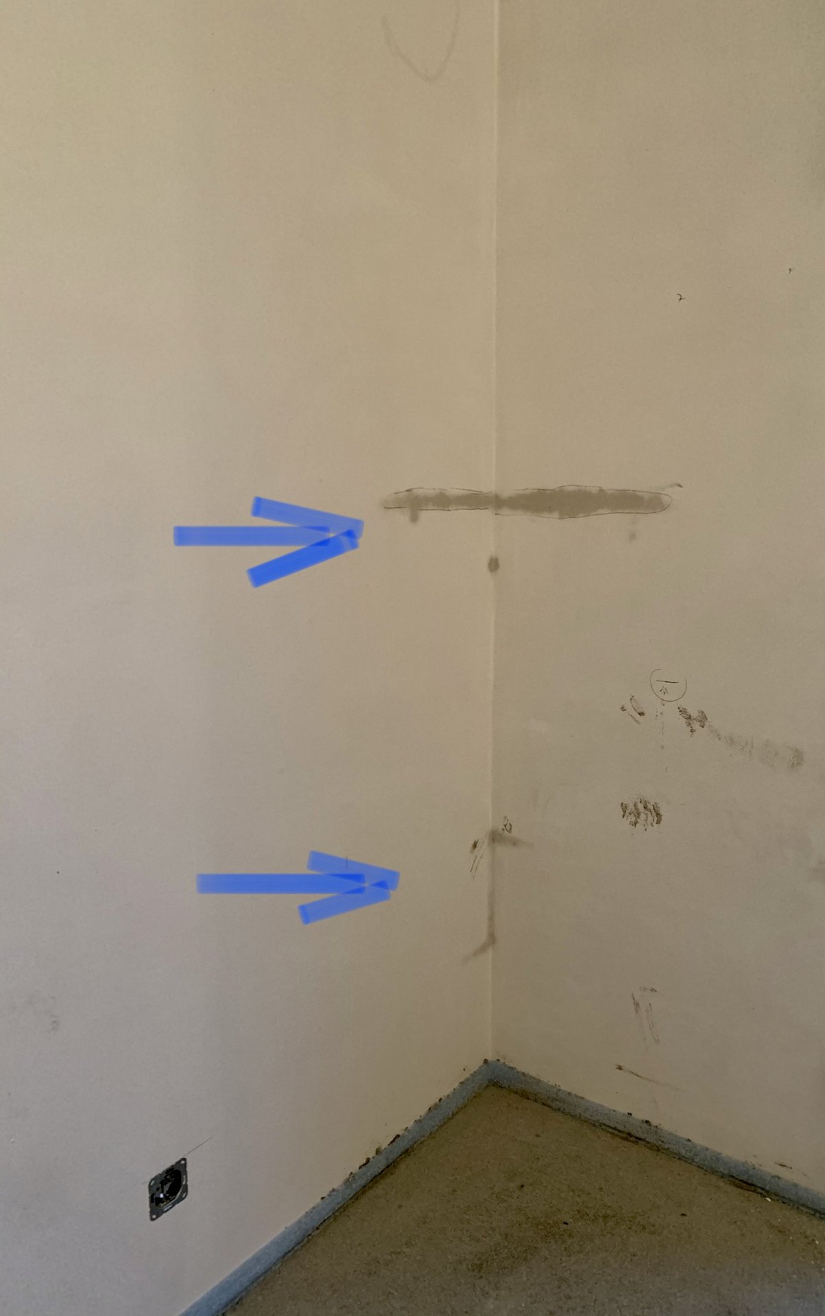 AA81BAE5-5F8B-48F5-AF5A-1FC7F05E5941.jpeg