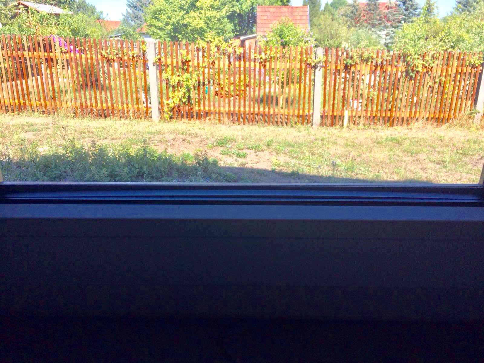 AF846B66-058E-428C-AA91-CF0D859A0355.jpeg
