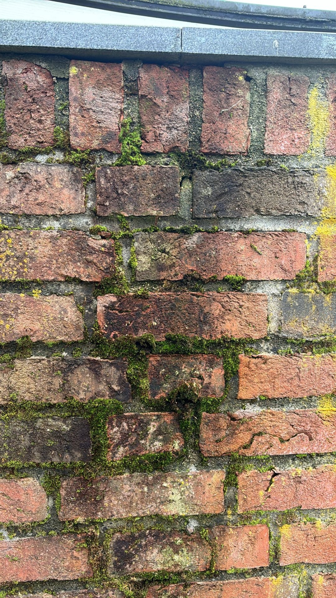 b7db6d41-81ca-4835-a94b-9f02c557ffc1.jpeg