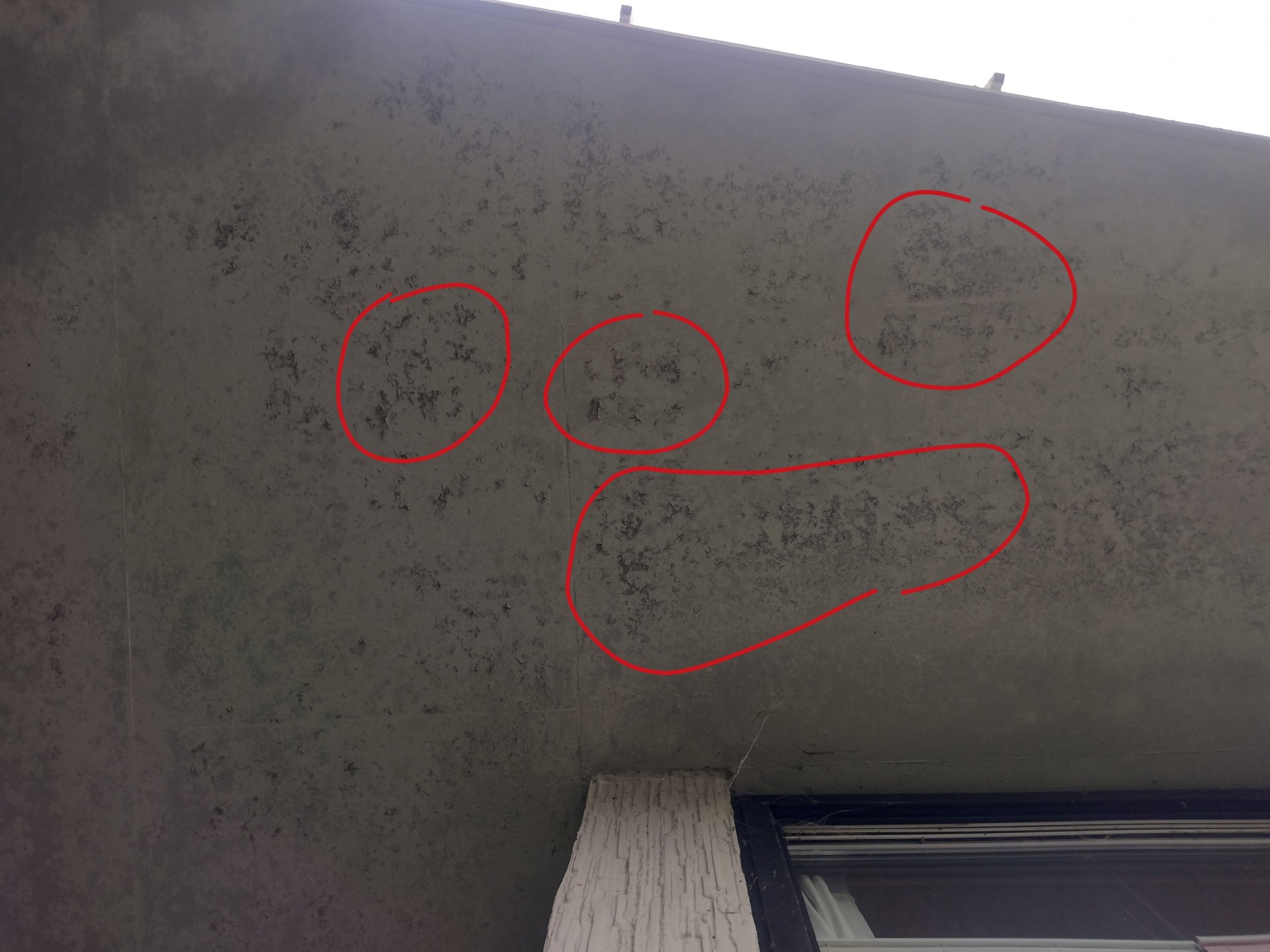 Balkonprüfung Abblätternde Farbe.jpg
