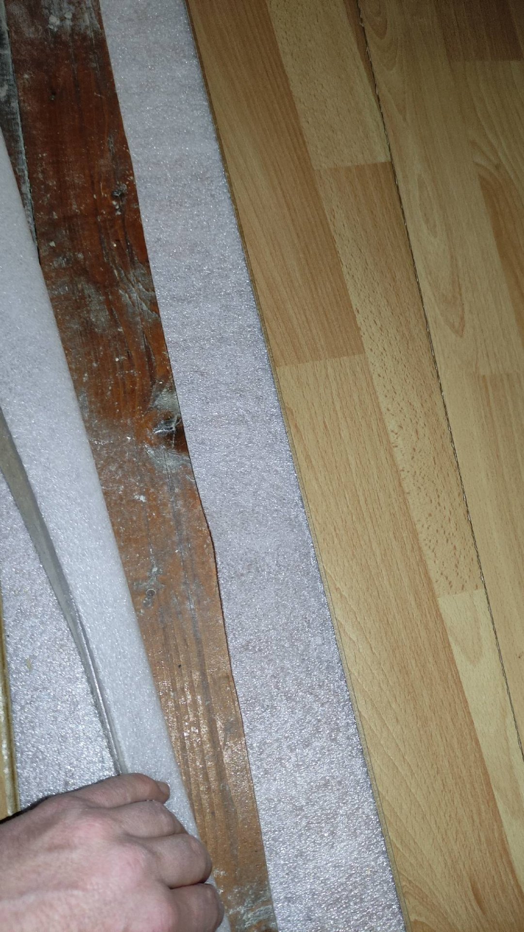Bild1.jpg
