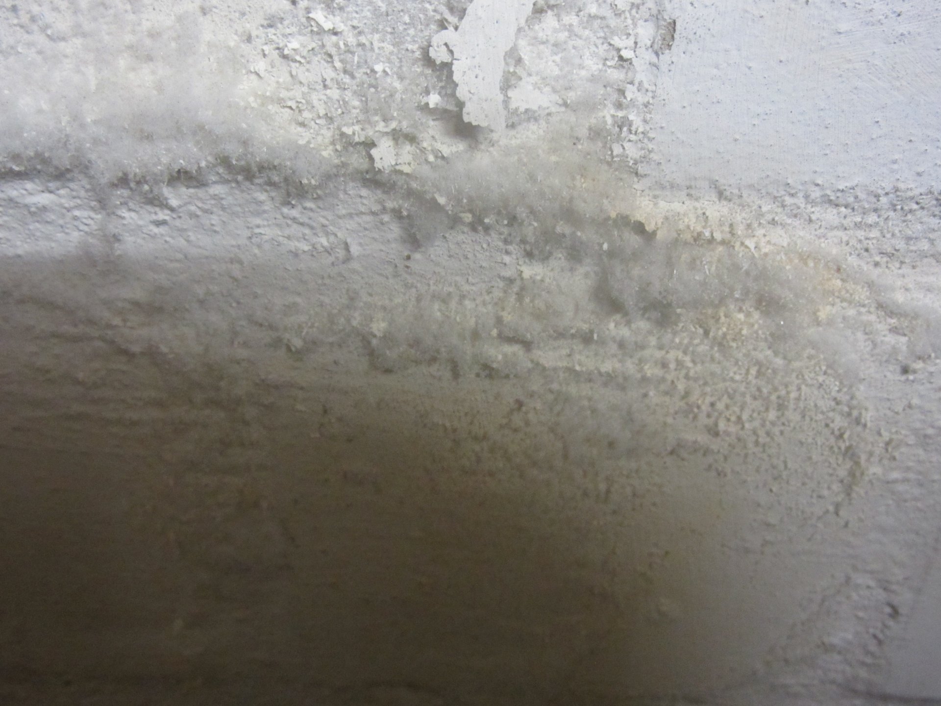 Bild3 Kellerwand.JPG