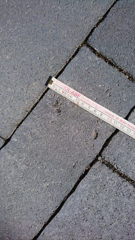DSC_0875.jpg