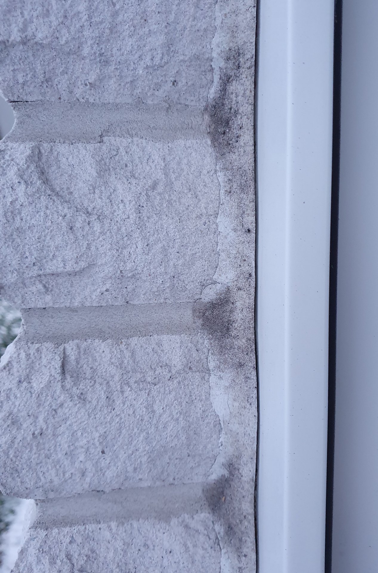 Fenster außen näher.jpg