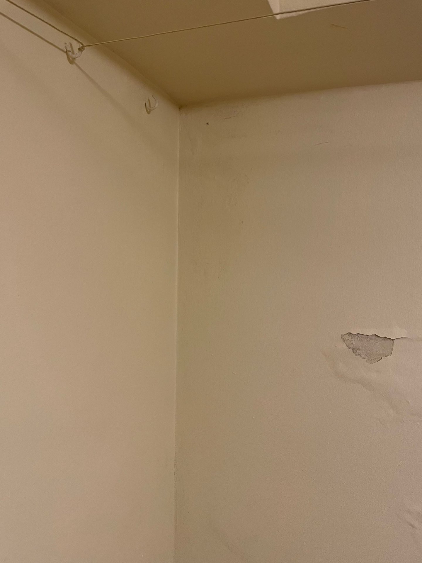 Feuchtigkeitsschaden 1.jpg