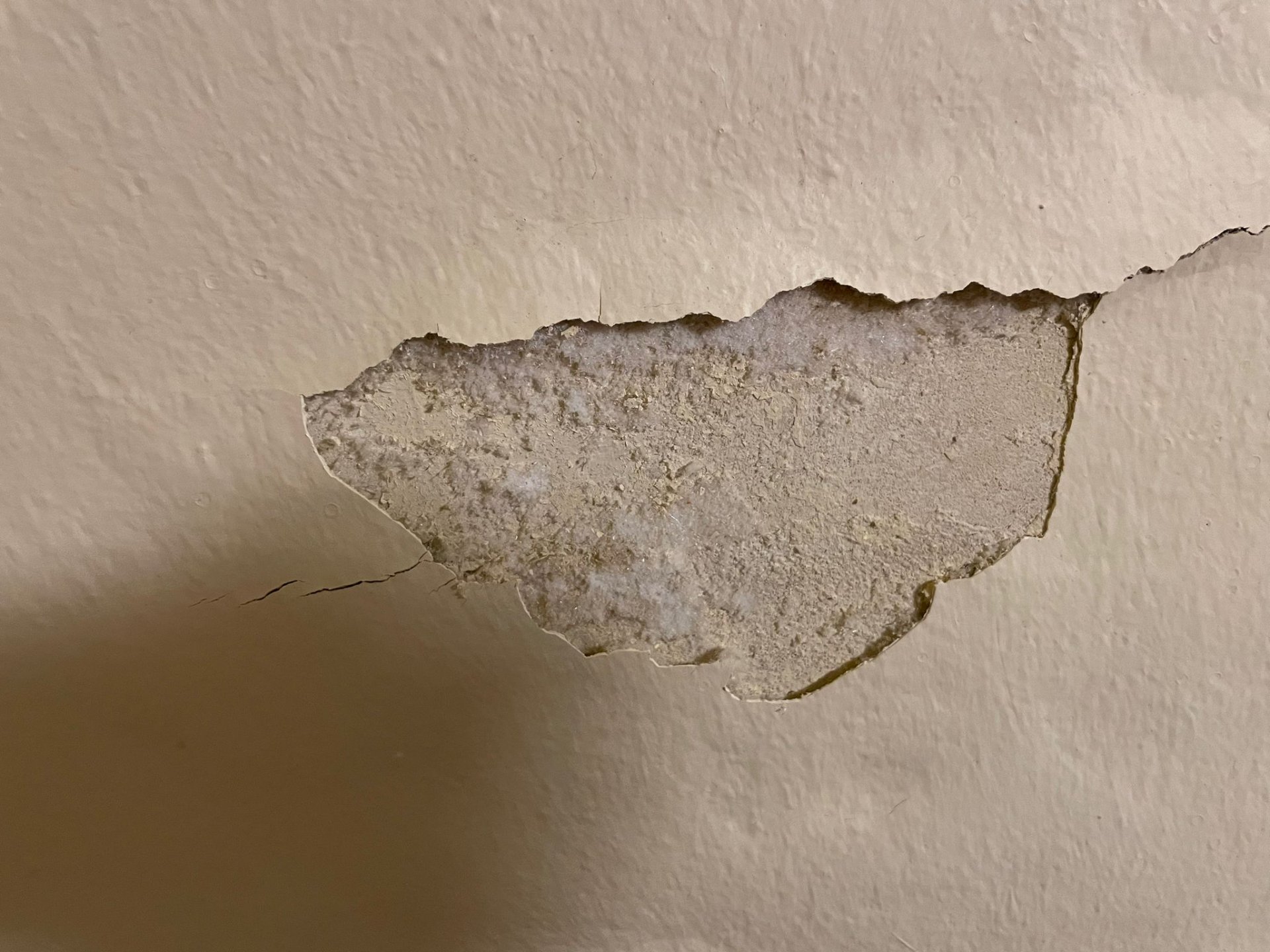 Feuchtigkeitsschaden 3.jpg