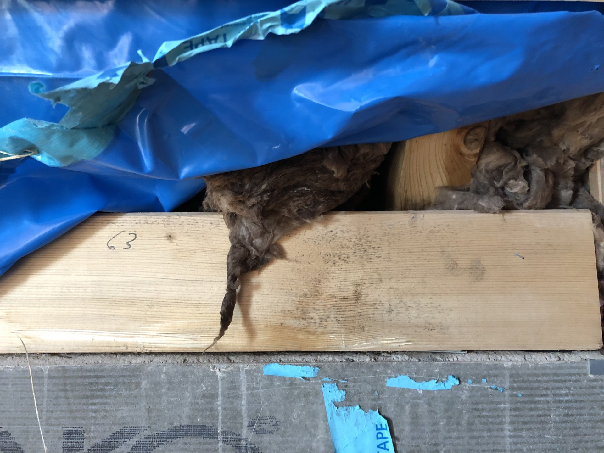 Foto 22.05.19, 16 46 13.jpg