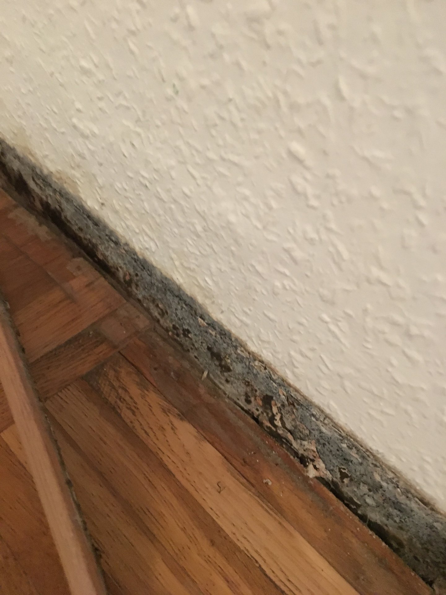 Feuchte Wand Neben Dusche