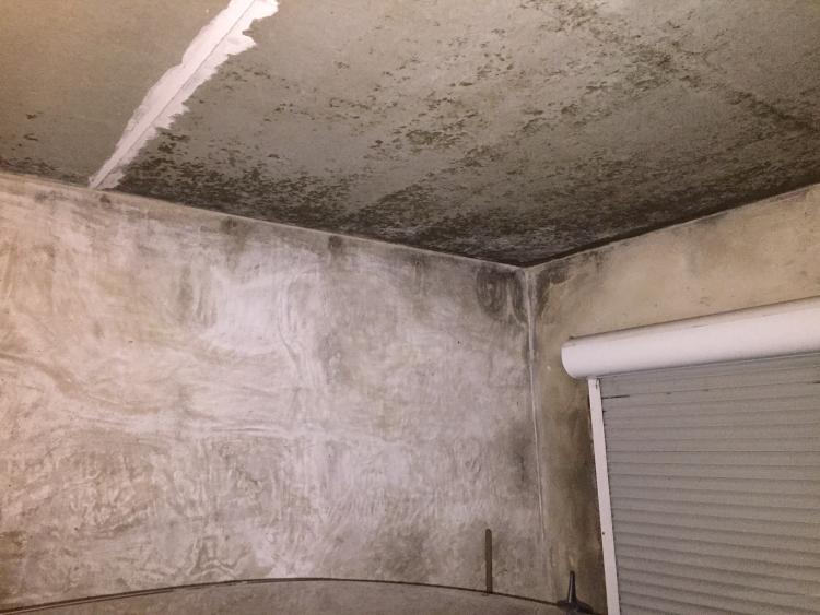 Garage Schimmel Nasse Wande Und Viel Arger