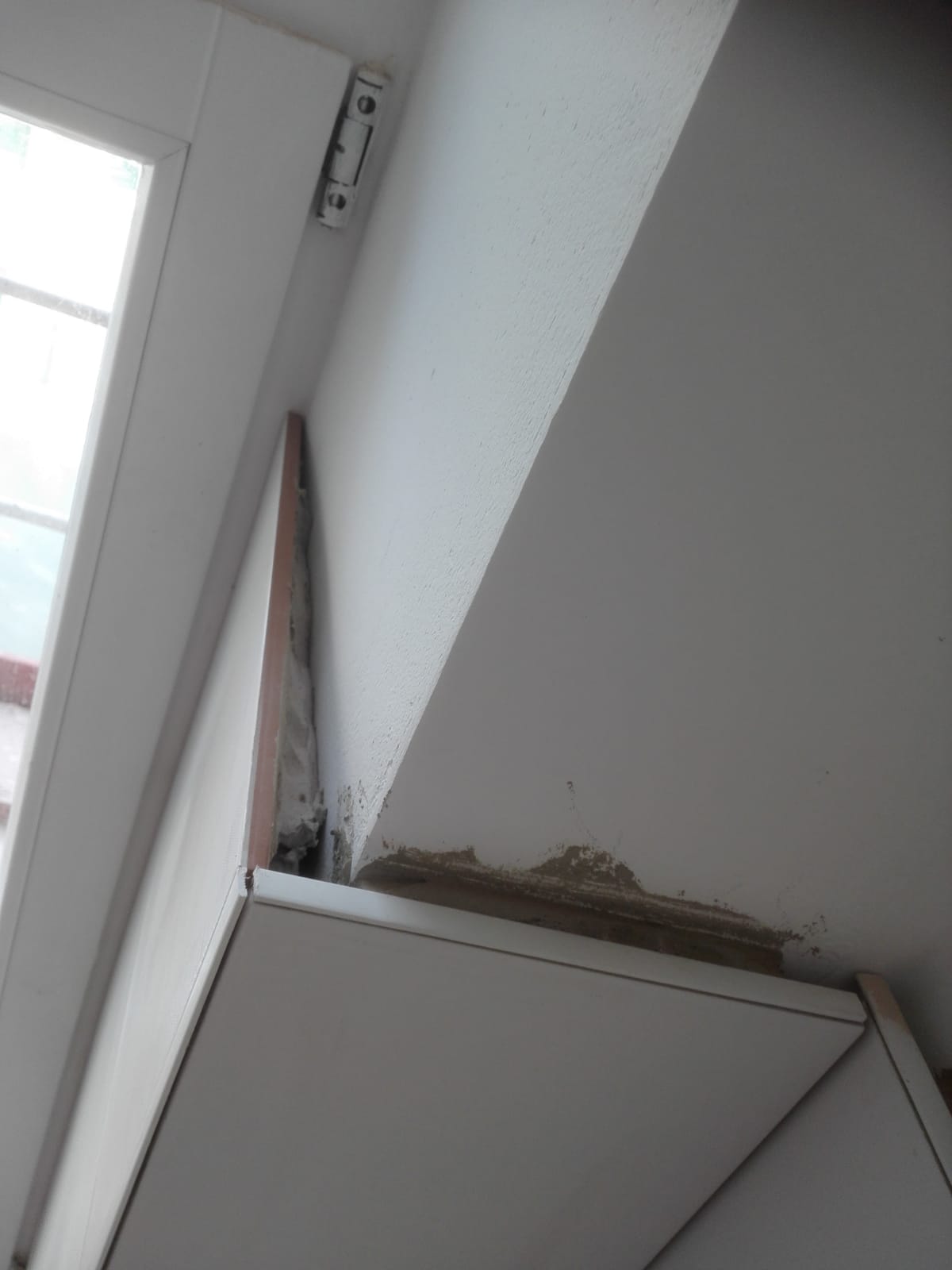 IMG-20190615-WA0007.jpg