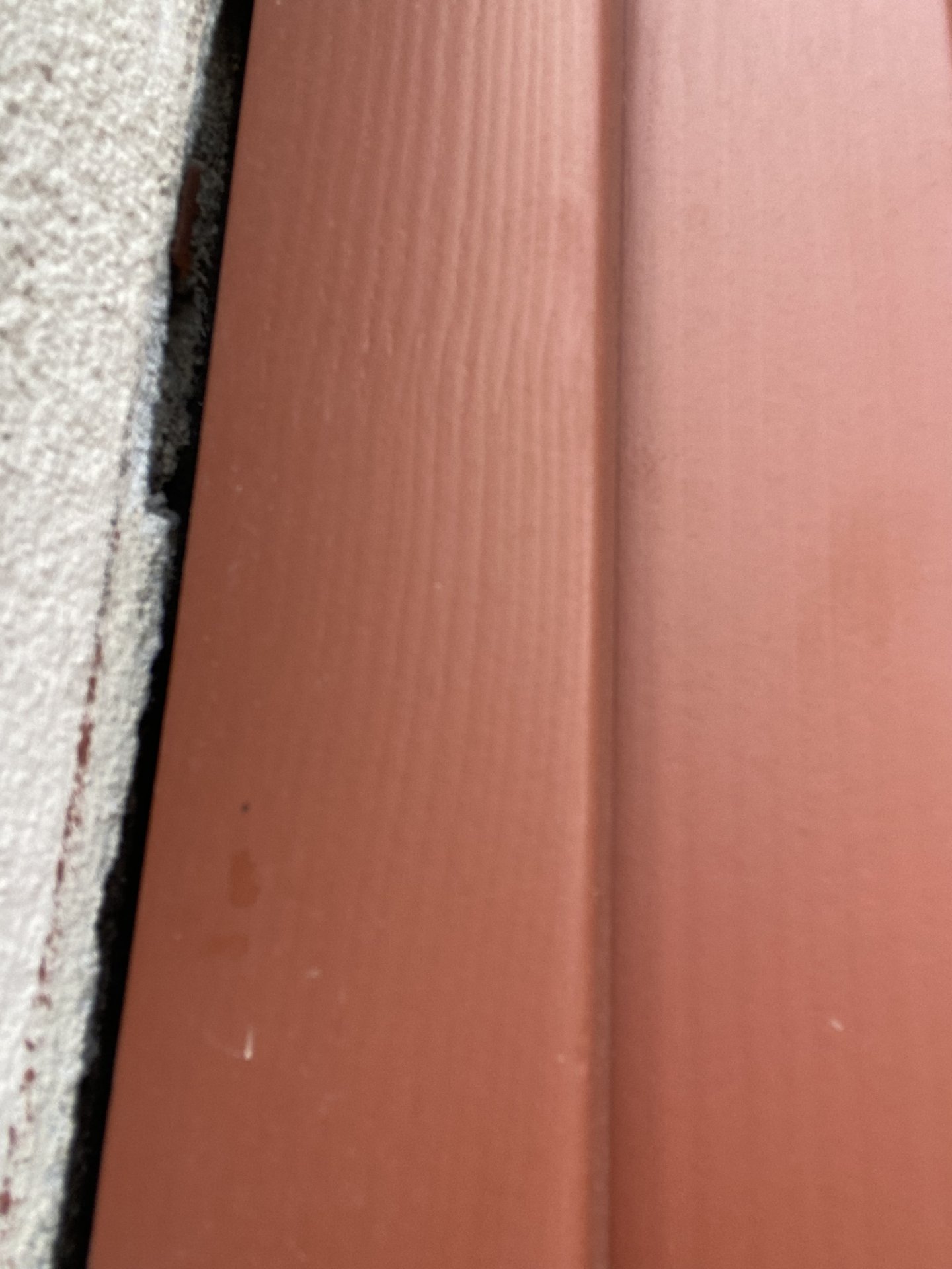IMG_0730.jpeg