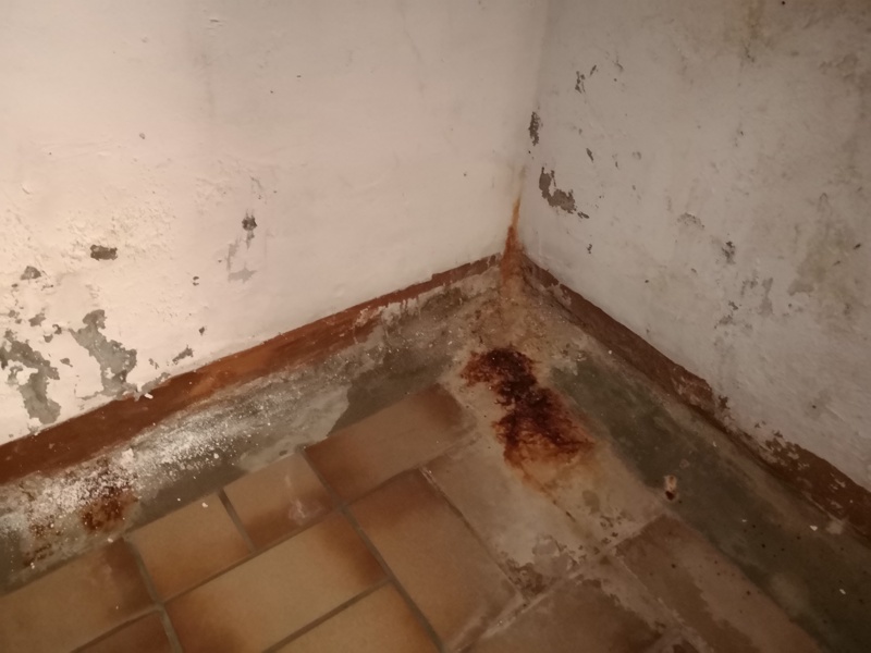 Abdichtung Kellerwand Grundwasser