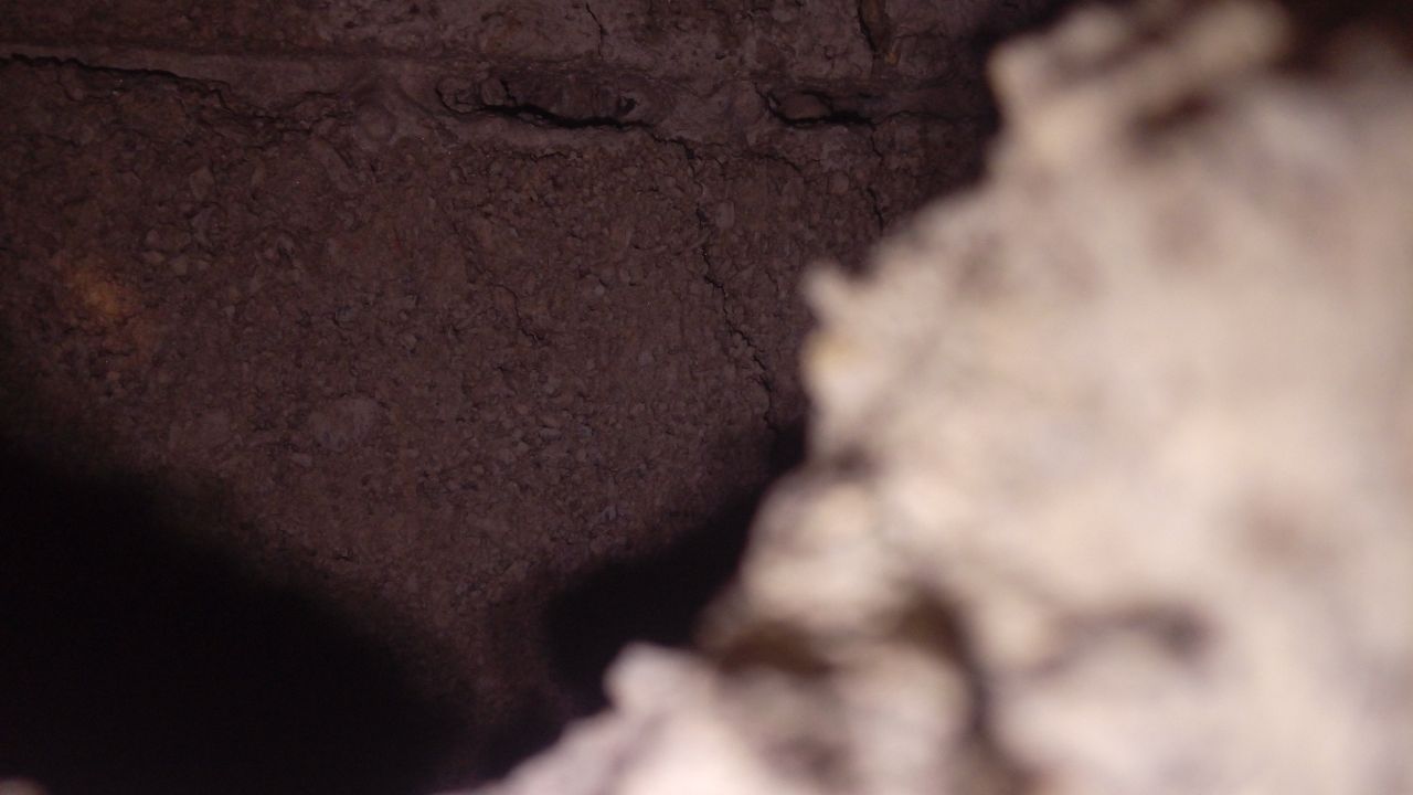 IMG_20201121_145058_572.jpg