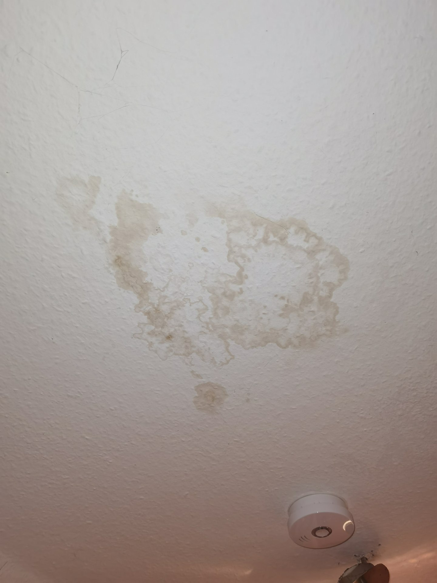 Wasserflecken an der Decke