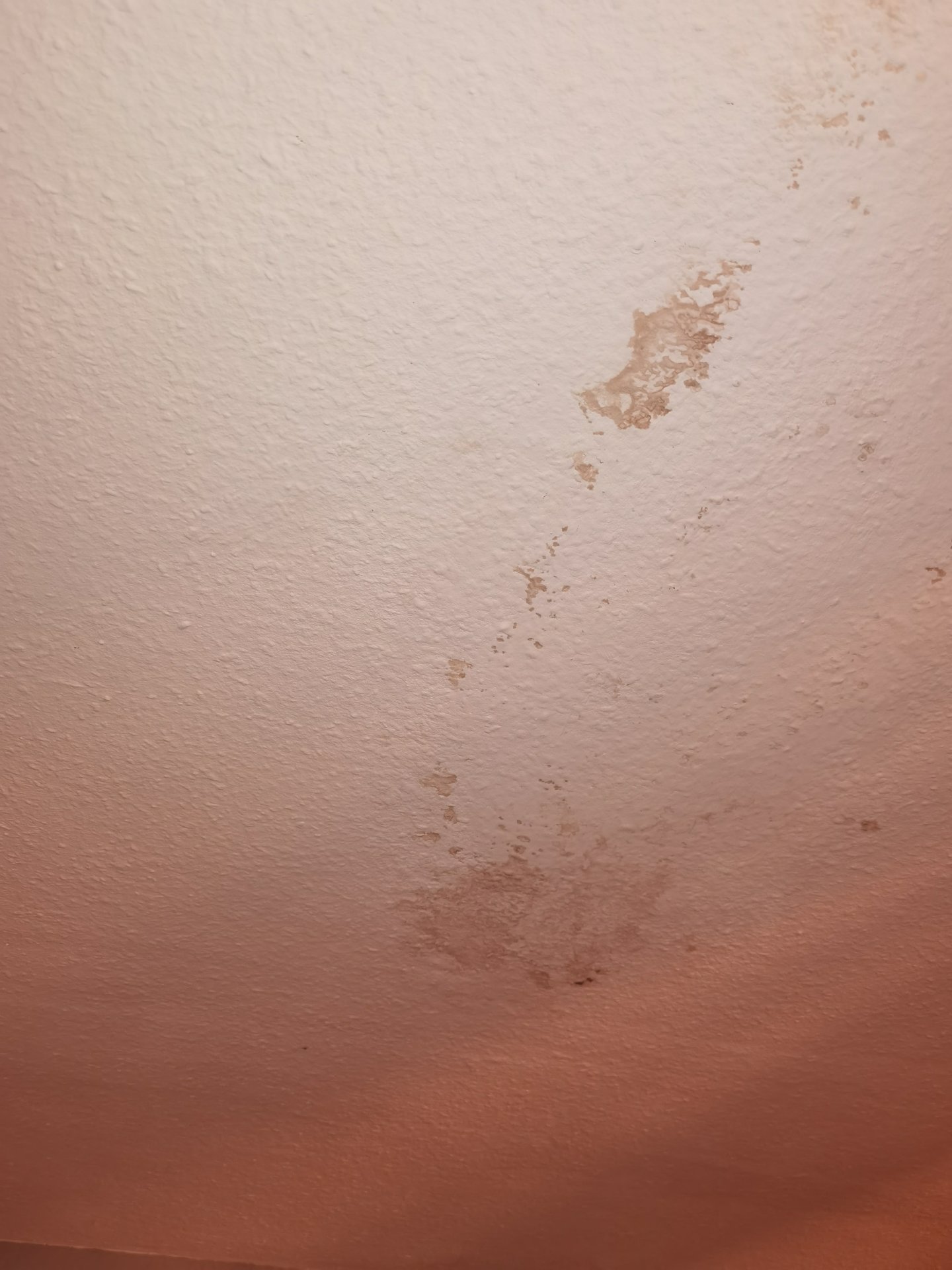 Wasserflecken an der Decke