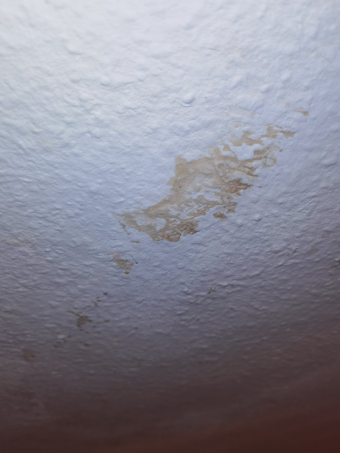 Wasserflecken an der Decke