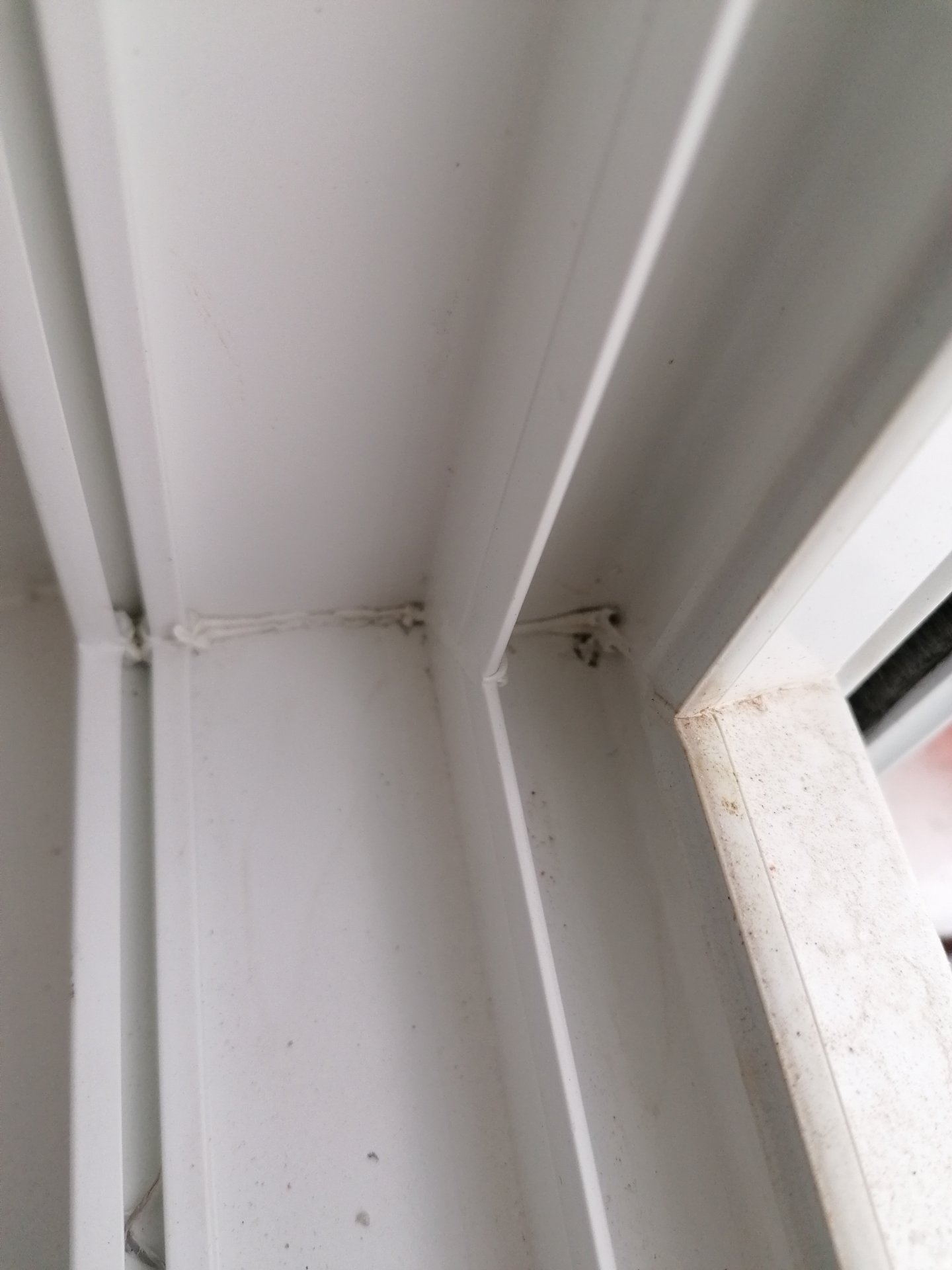 IMG_20230509_171624.jpg