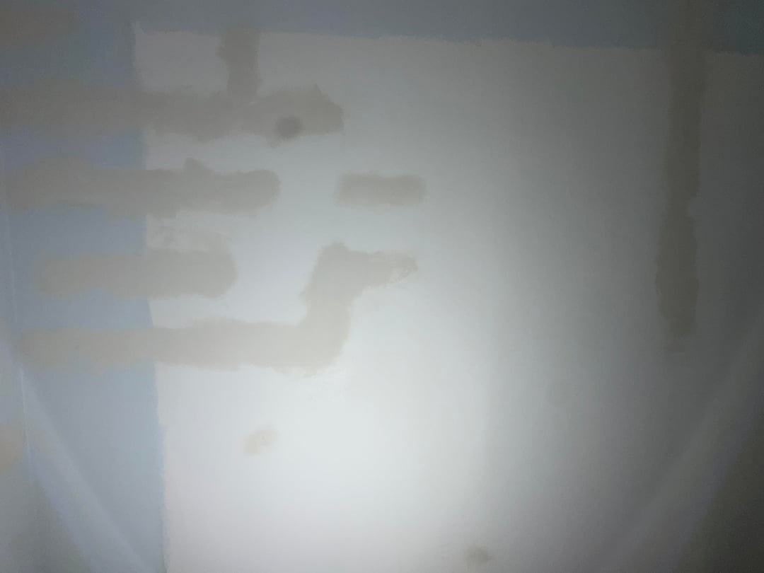 IMG_2262.jpeg