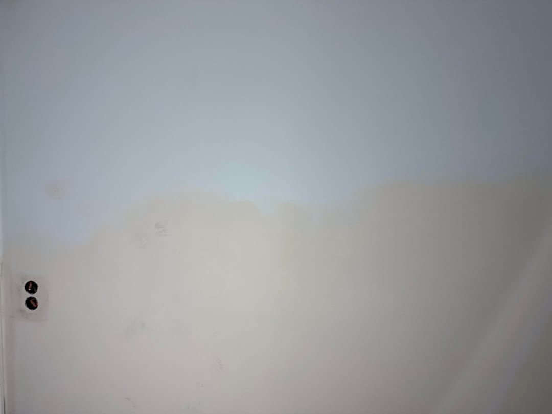 IMG_2263.jpeg