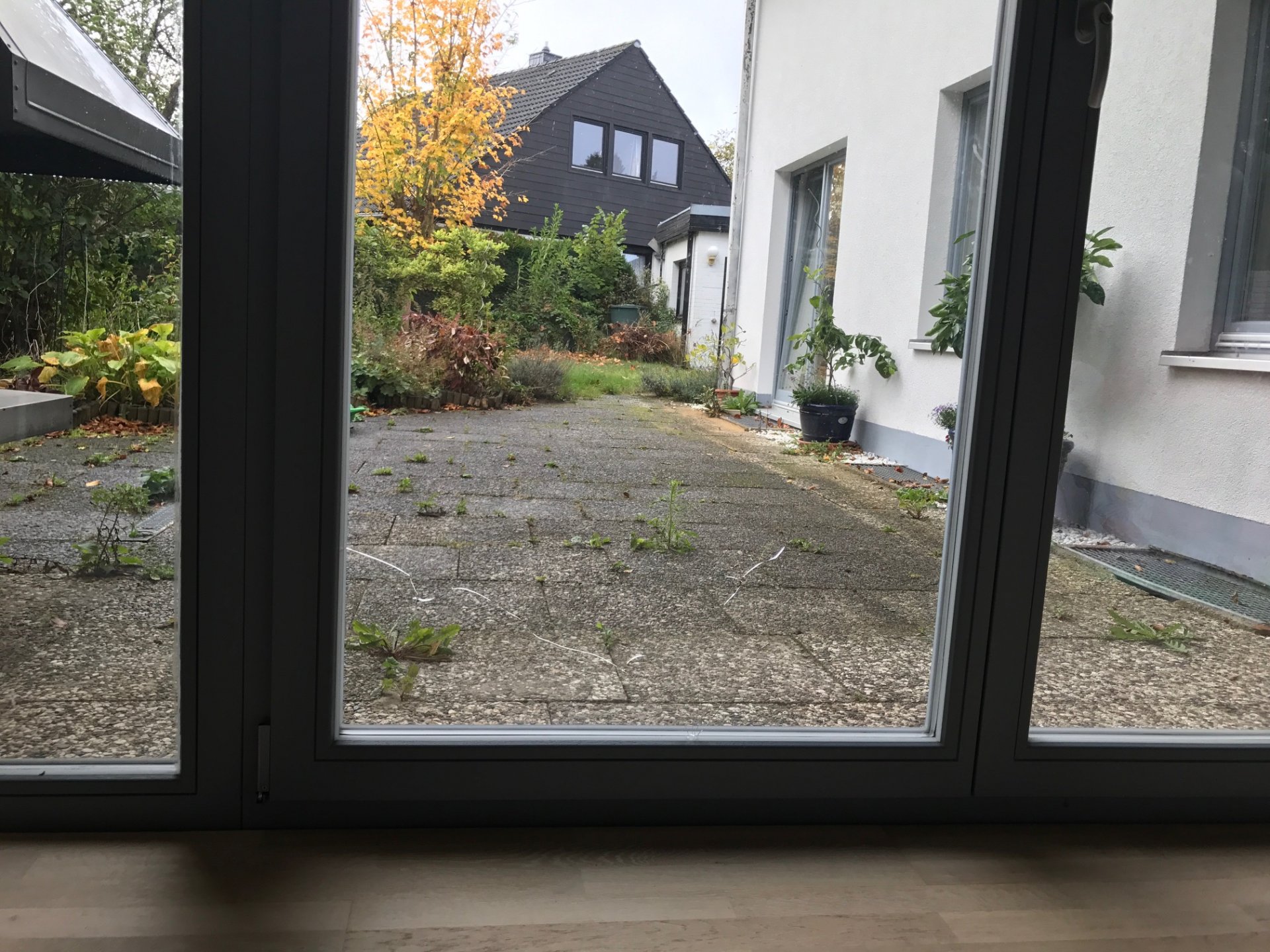 Fenster gesprungene Scheibe (nur innen, ausgehend vom