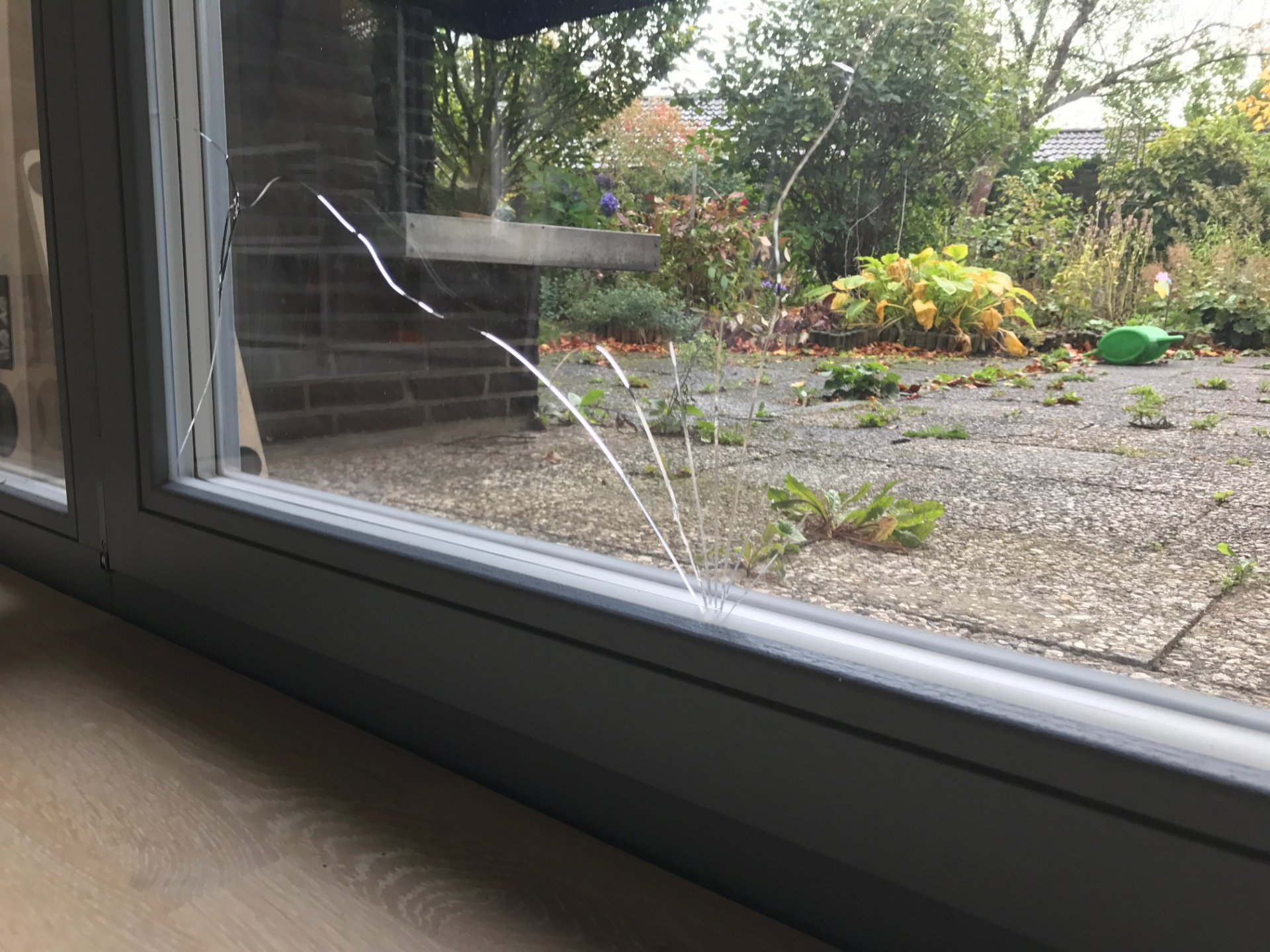 Fenster gesprungene Scheibe (nur innen, ausgehend vom
