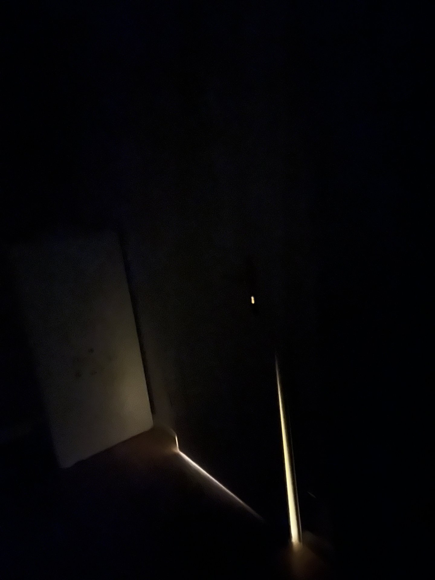 IMG_3730.jpeg