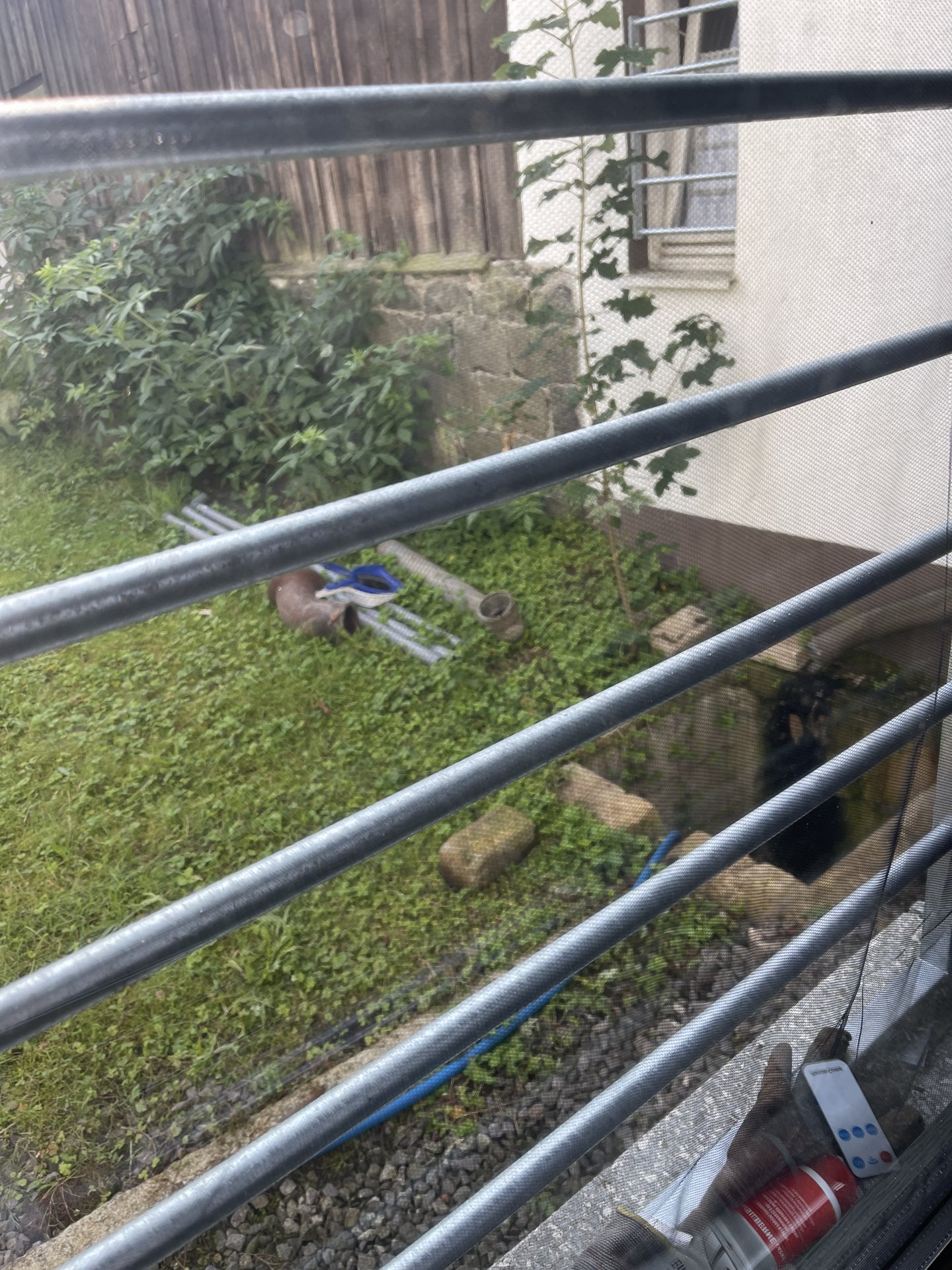 IMG_4312.jpeg