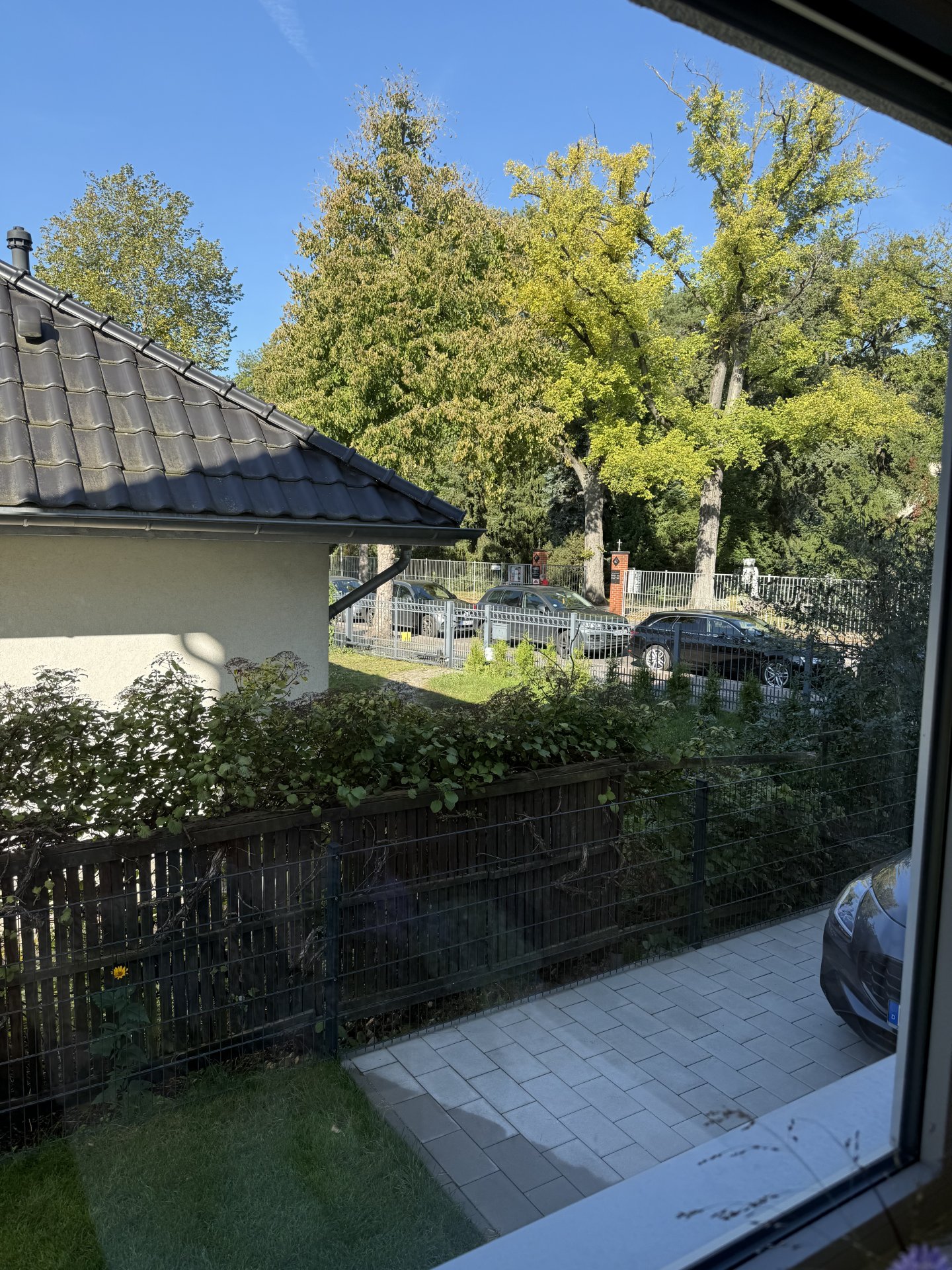 IMG_4594.jpeg