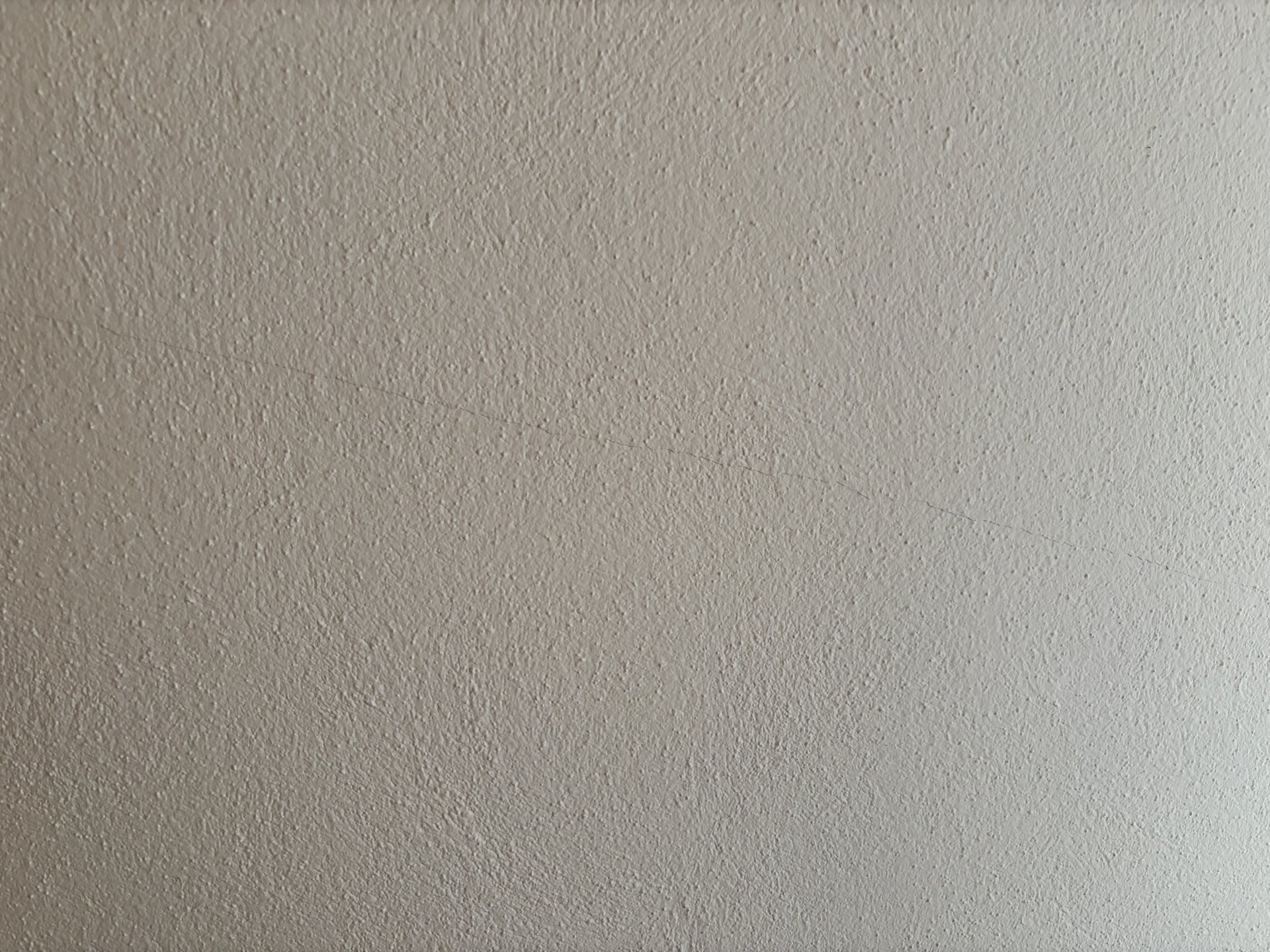 IMG_6600.jpeg