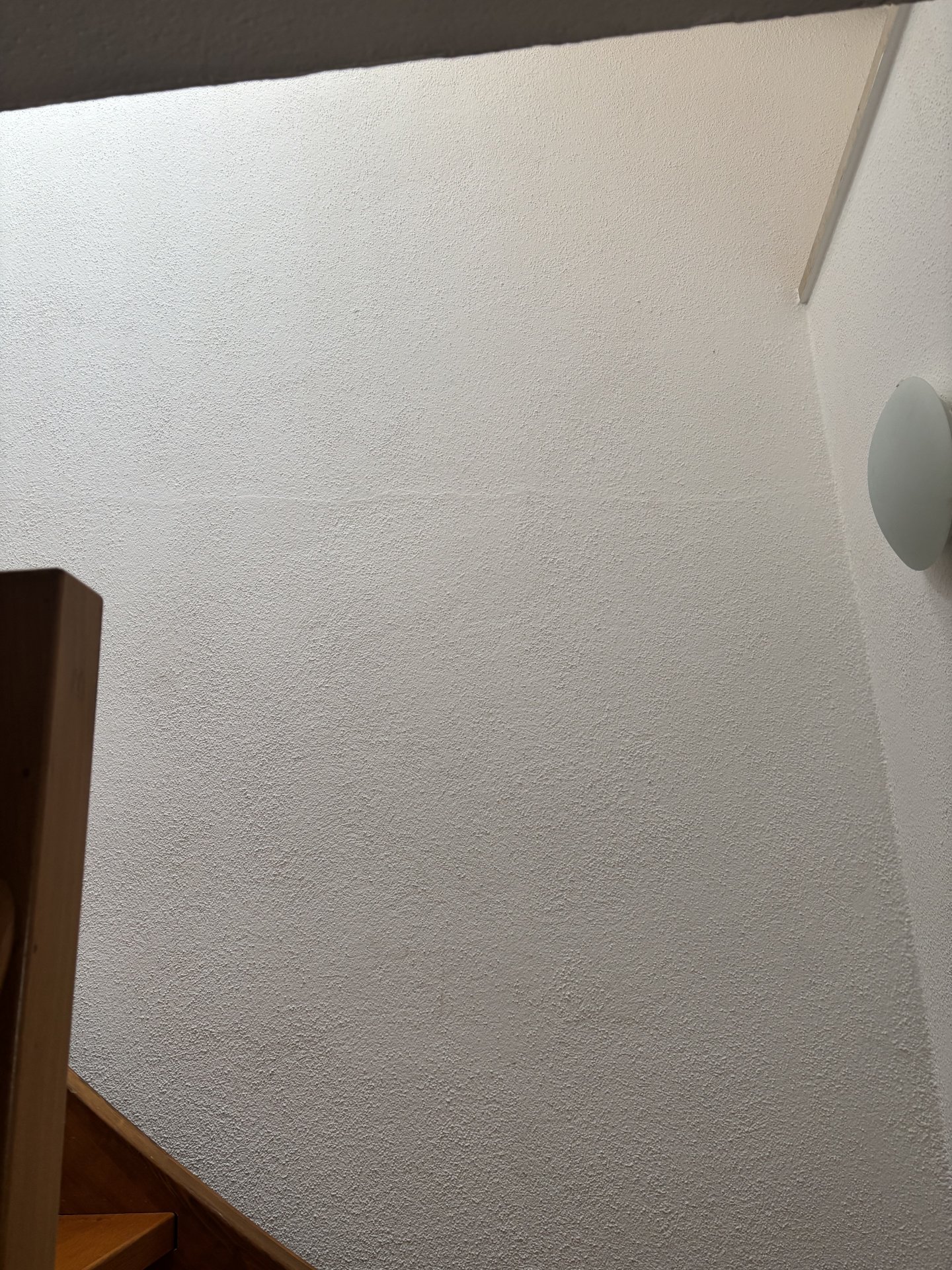 IMG_6604.jpeg