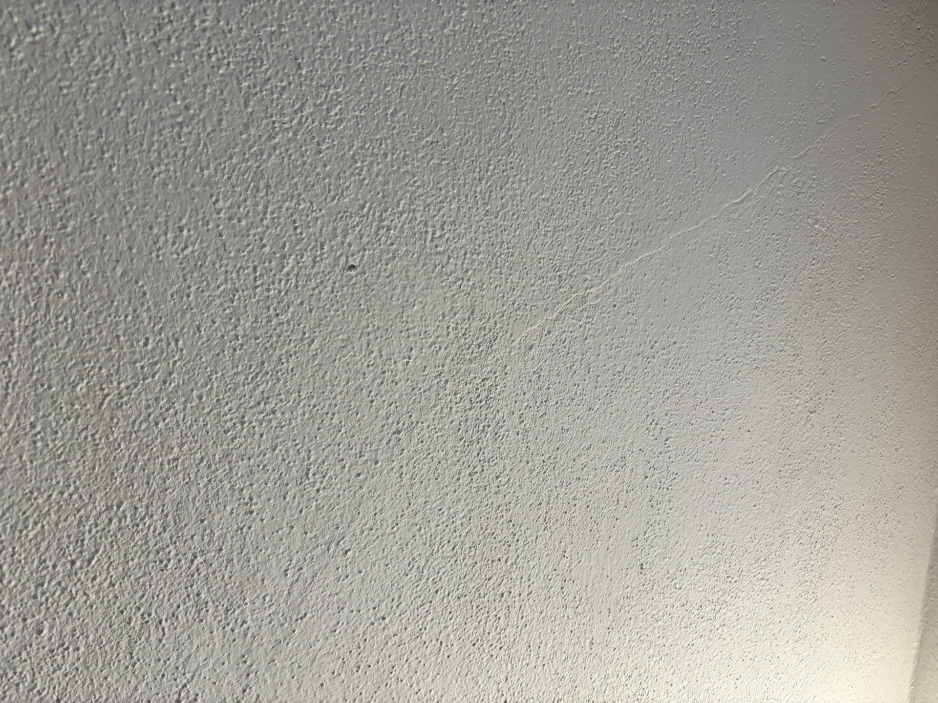 IMG_6605.jpeg