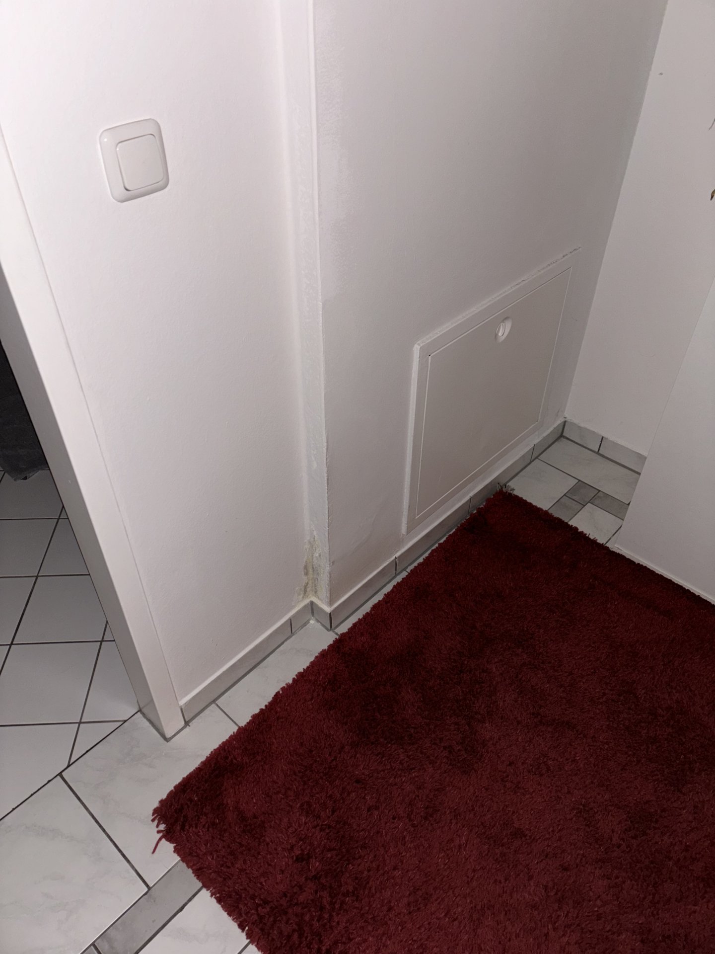 IMG_7769.jpeg