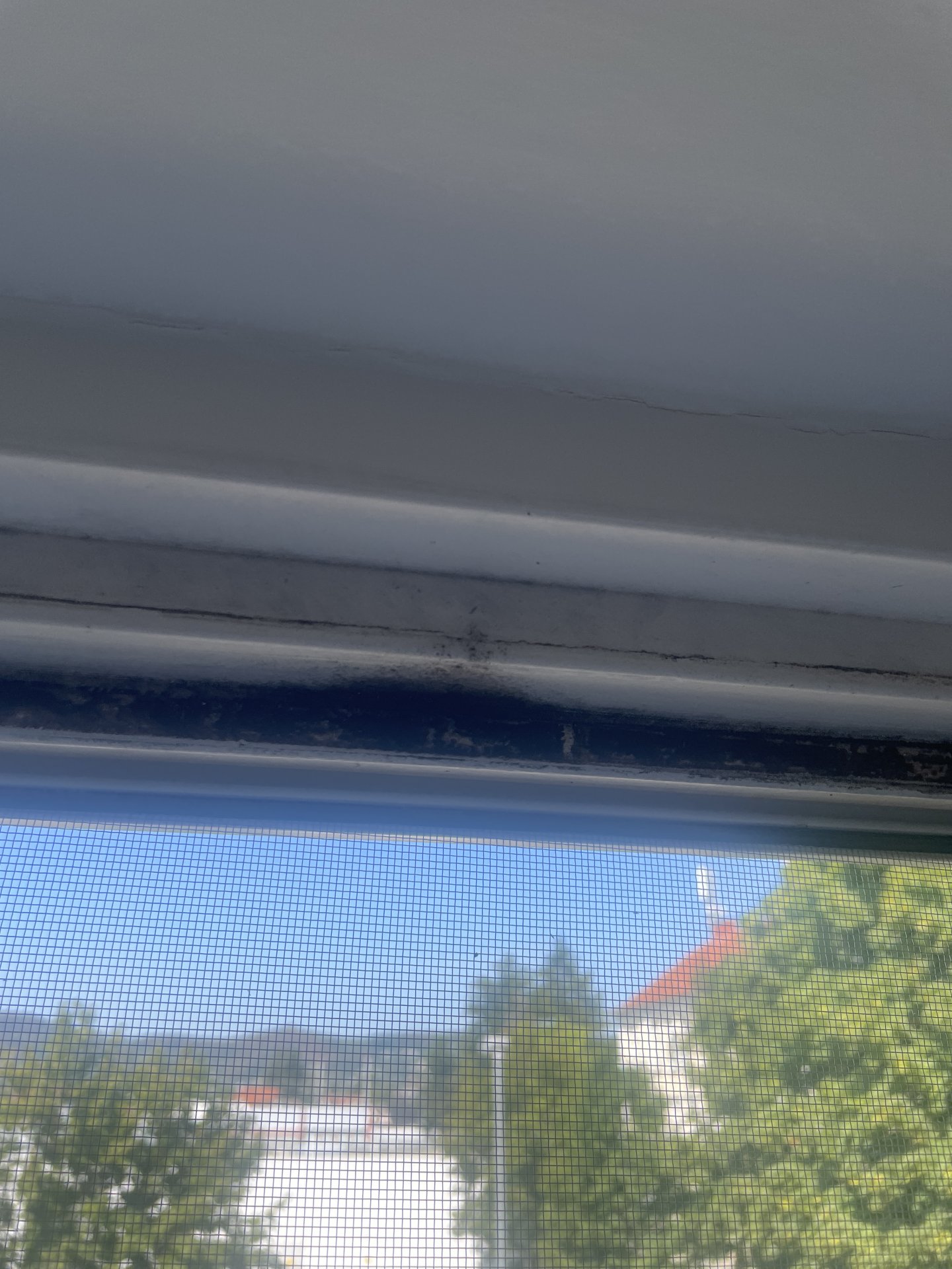 IMG_9468.jpeg