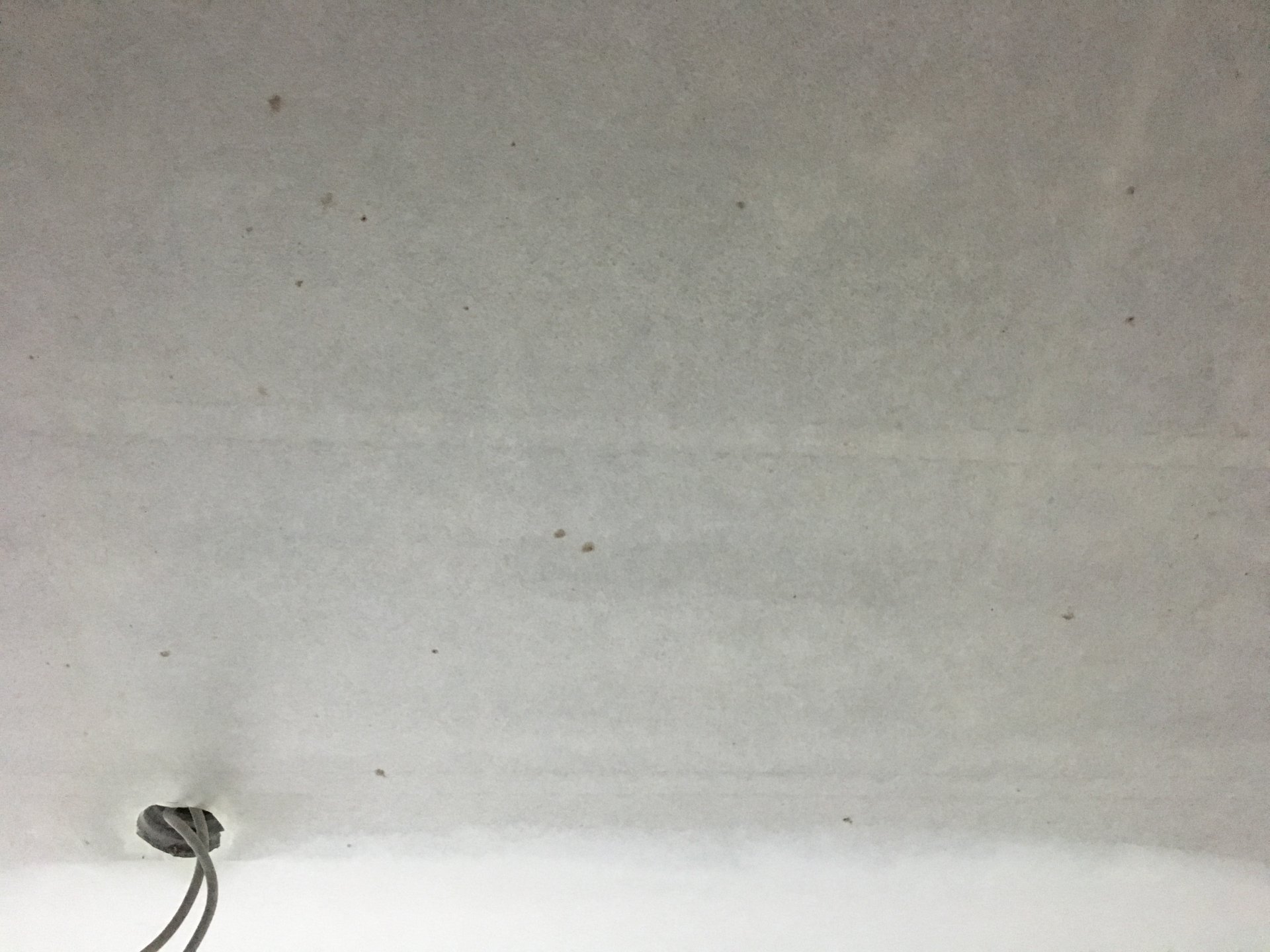 Mangel_mit_Flies_1.JPG