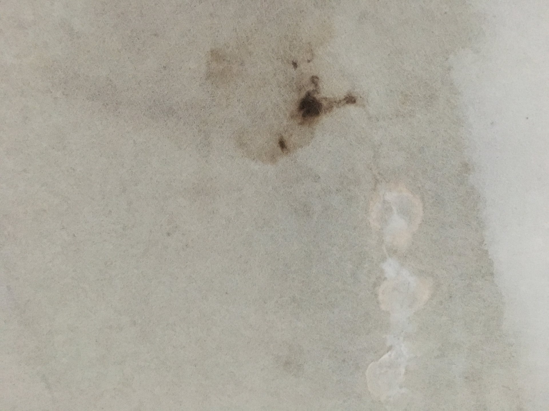 Mangel_mit_Flies_3.JPG