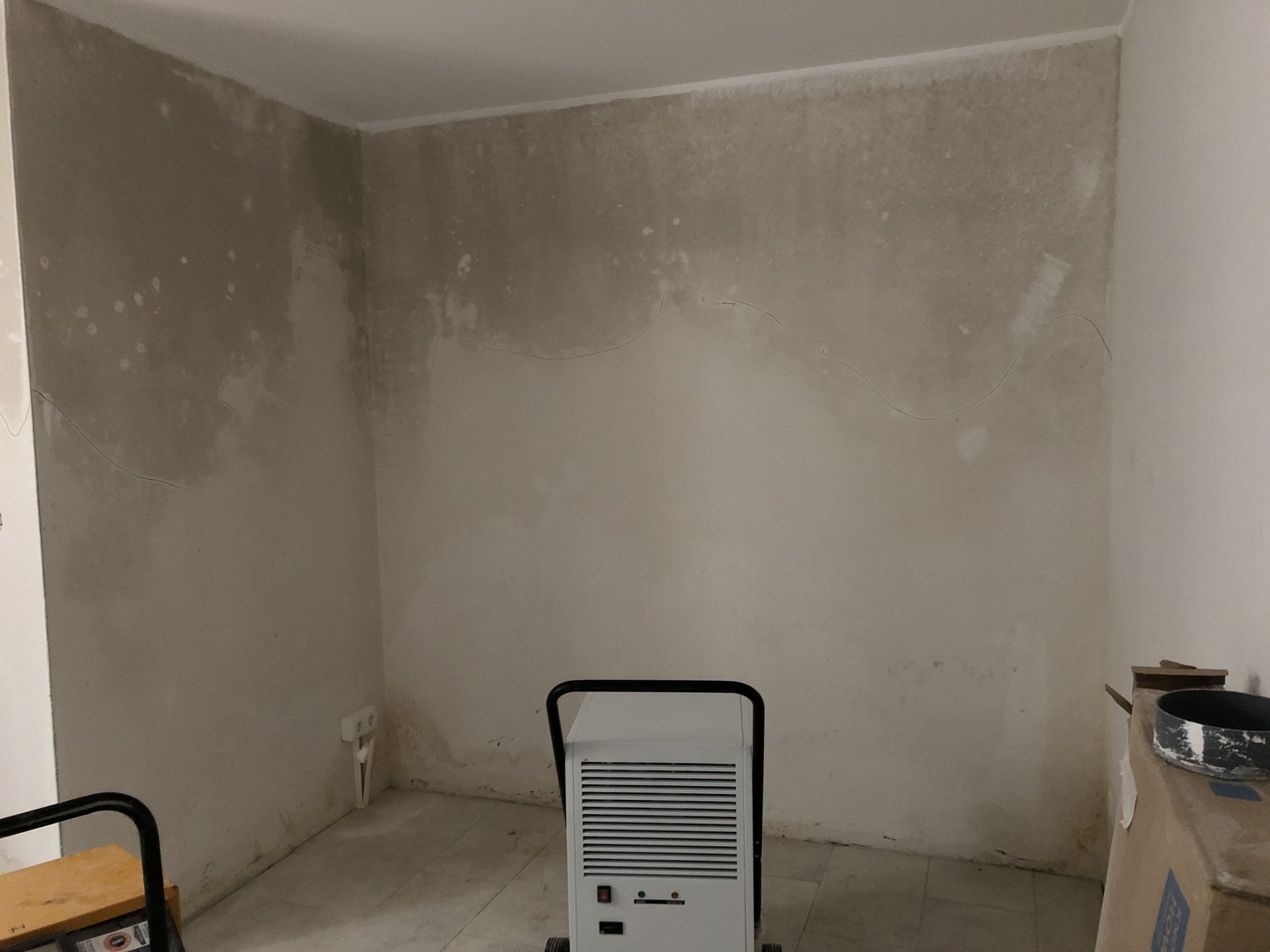 Nasse Kellerwand2.jpg