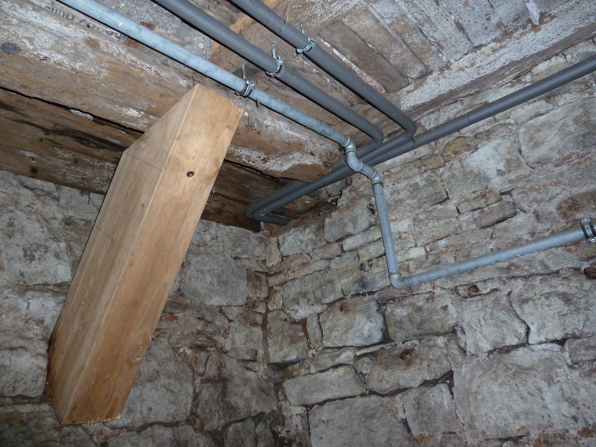 P1020344.JPG