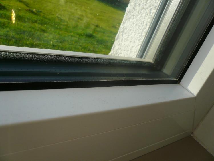 Internorm Fenster Erfahrungen