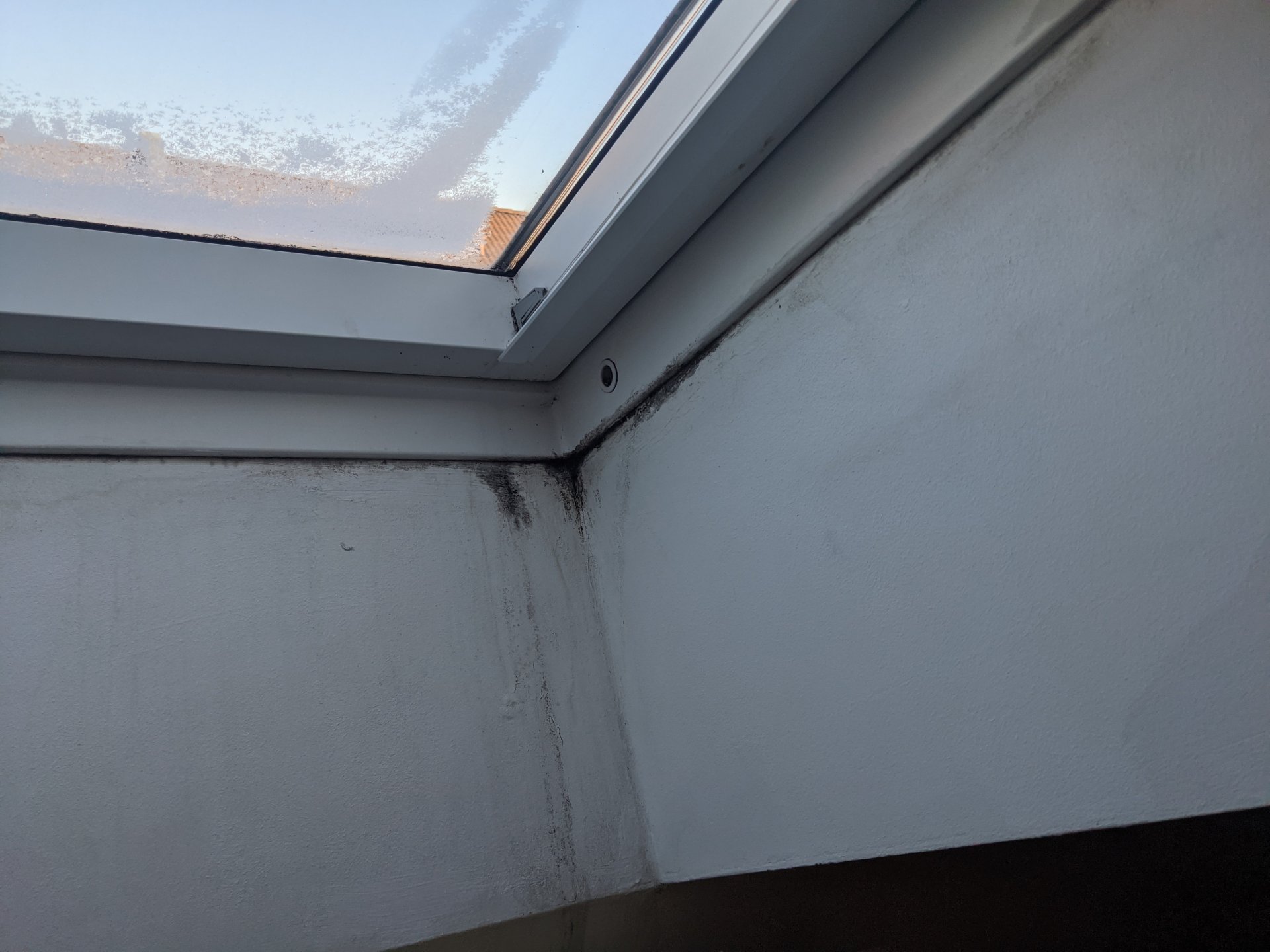 PXL_20210131_103046170.jpg
