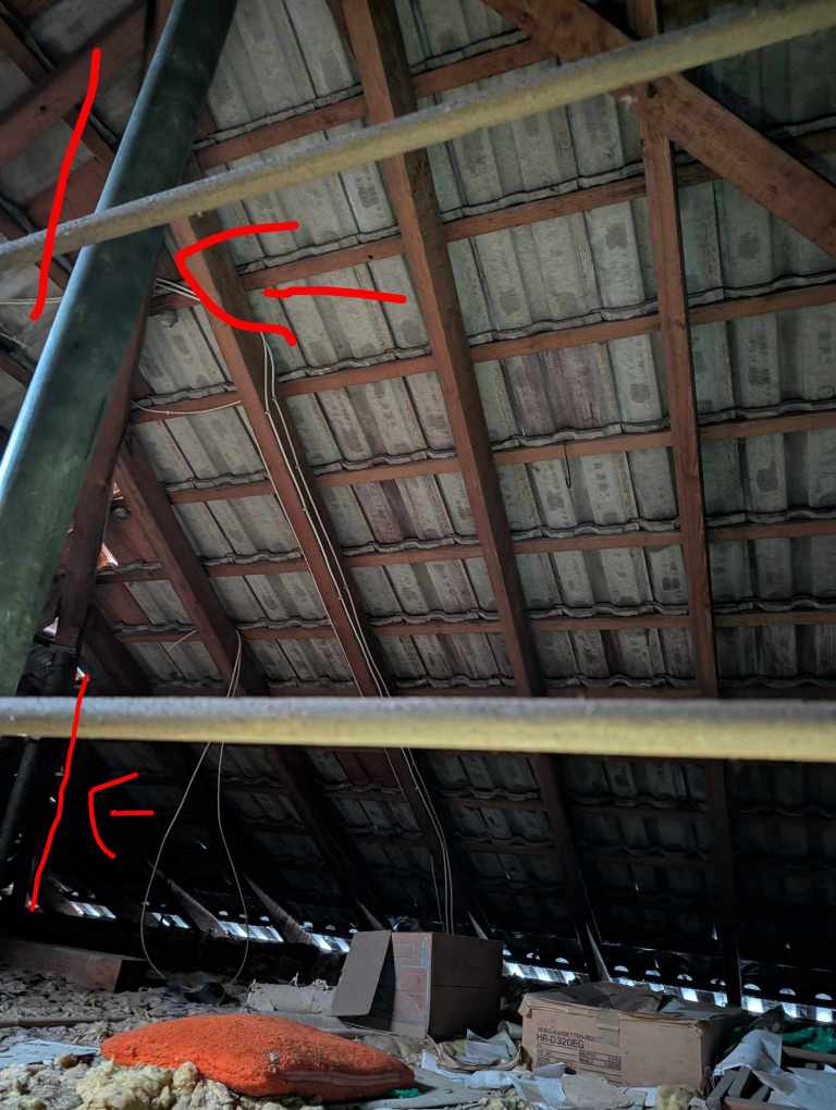 PXL_20260107_131341707.NIGHT~3 (1).jpg