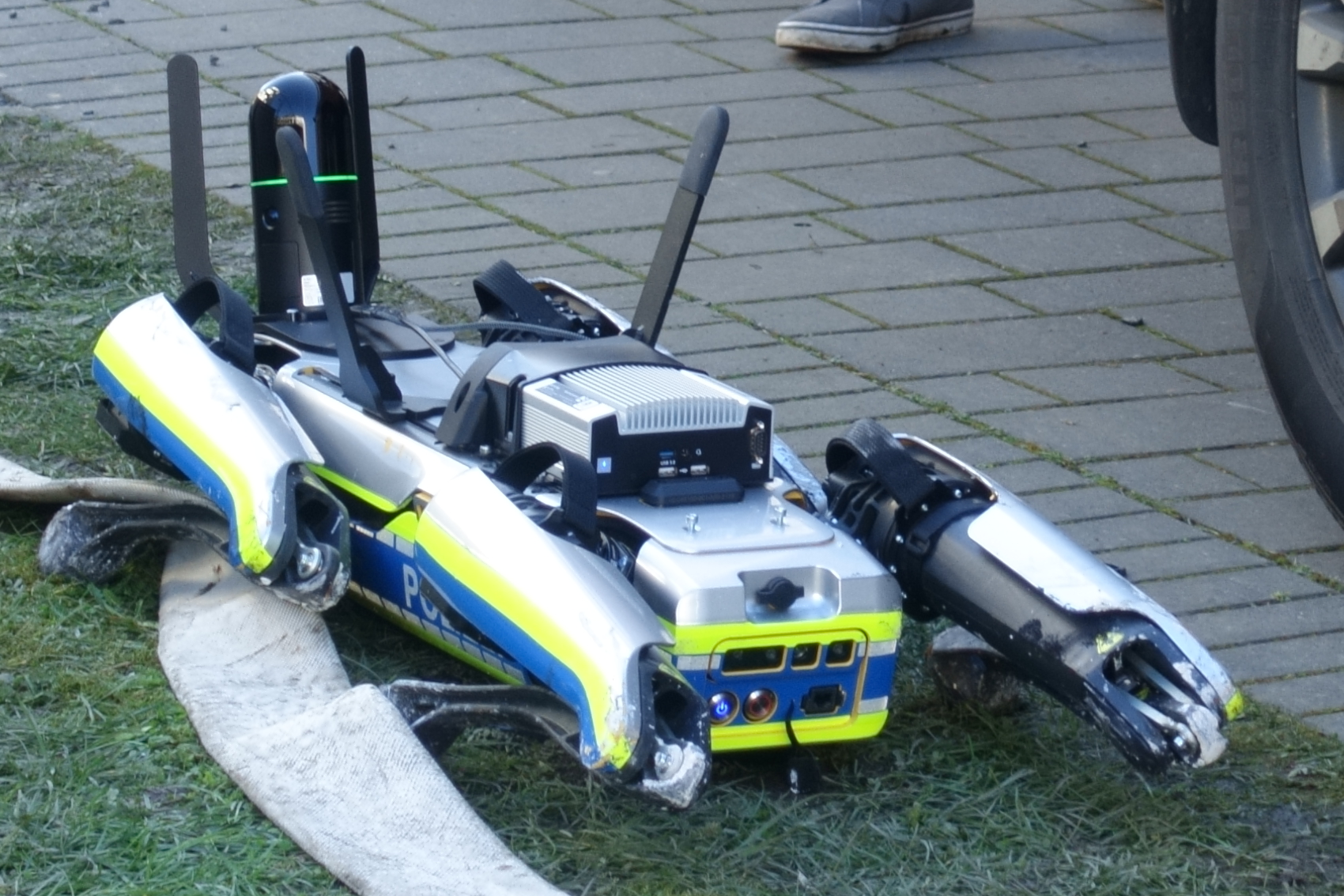robodog.JPG