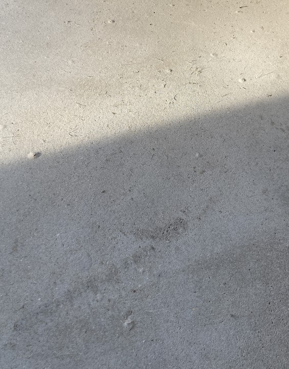 Screenshot 2024-01-30 203154.jpg