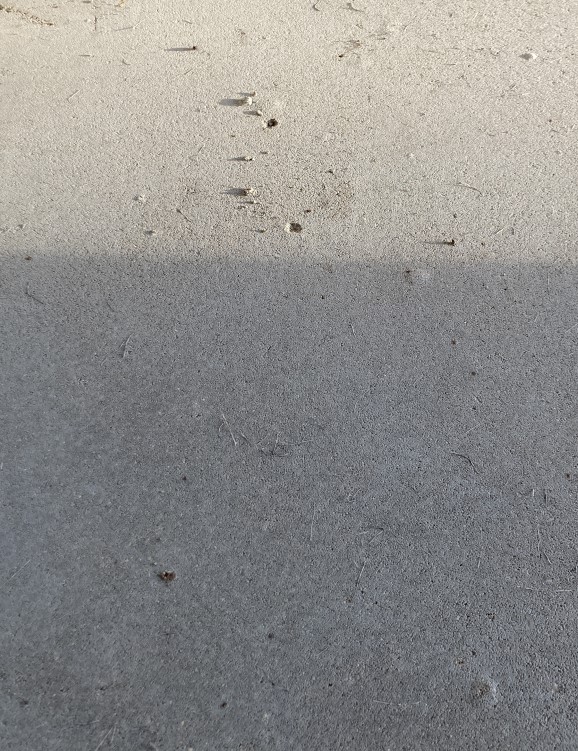 Screenshot 2024-01-30 203213.jpg