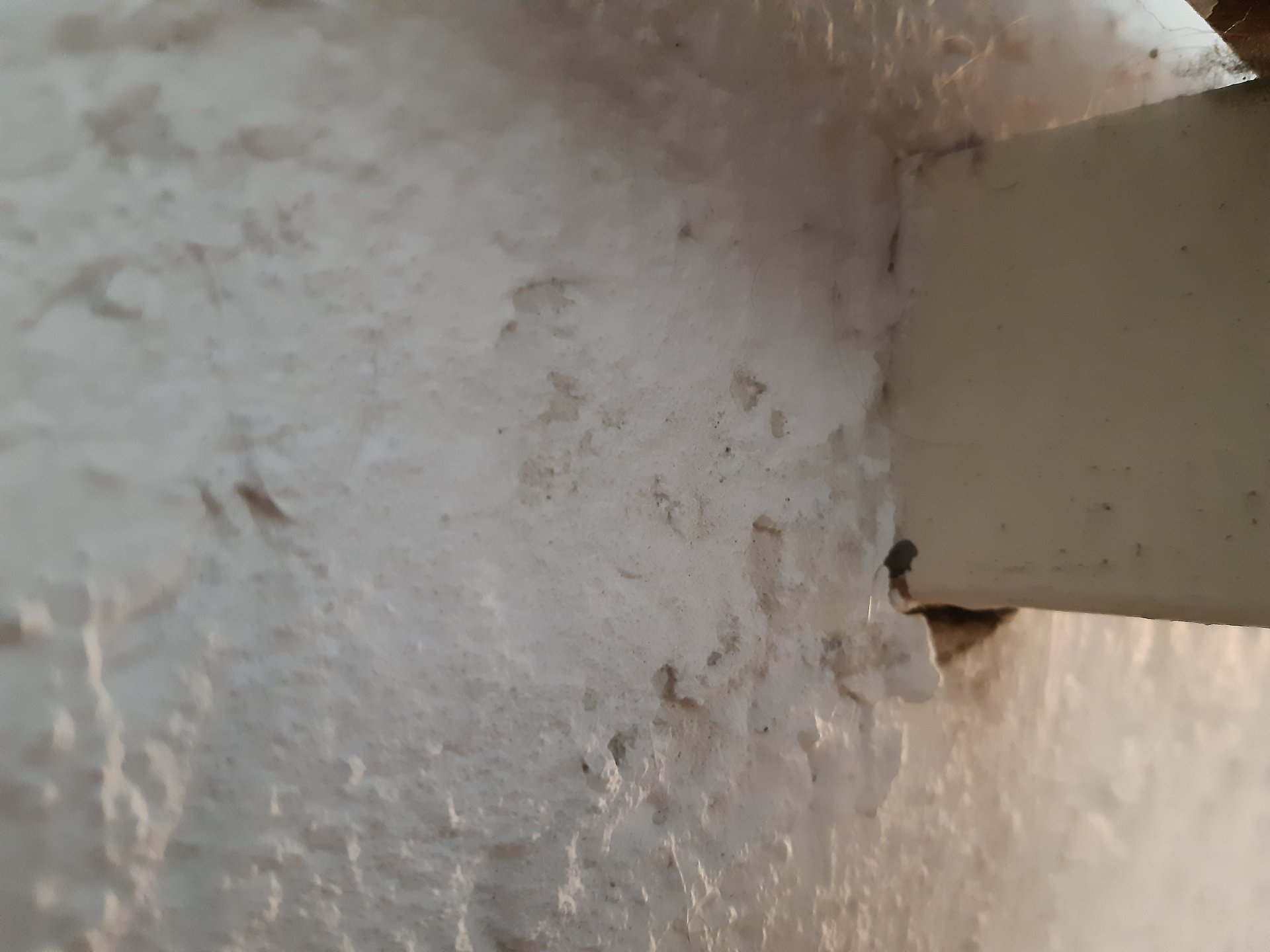 Treppe2.jpg