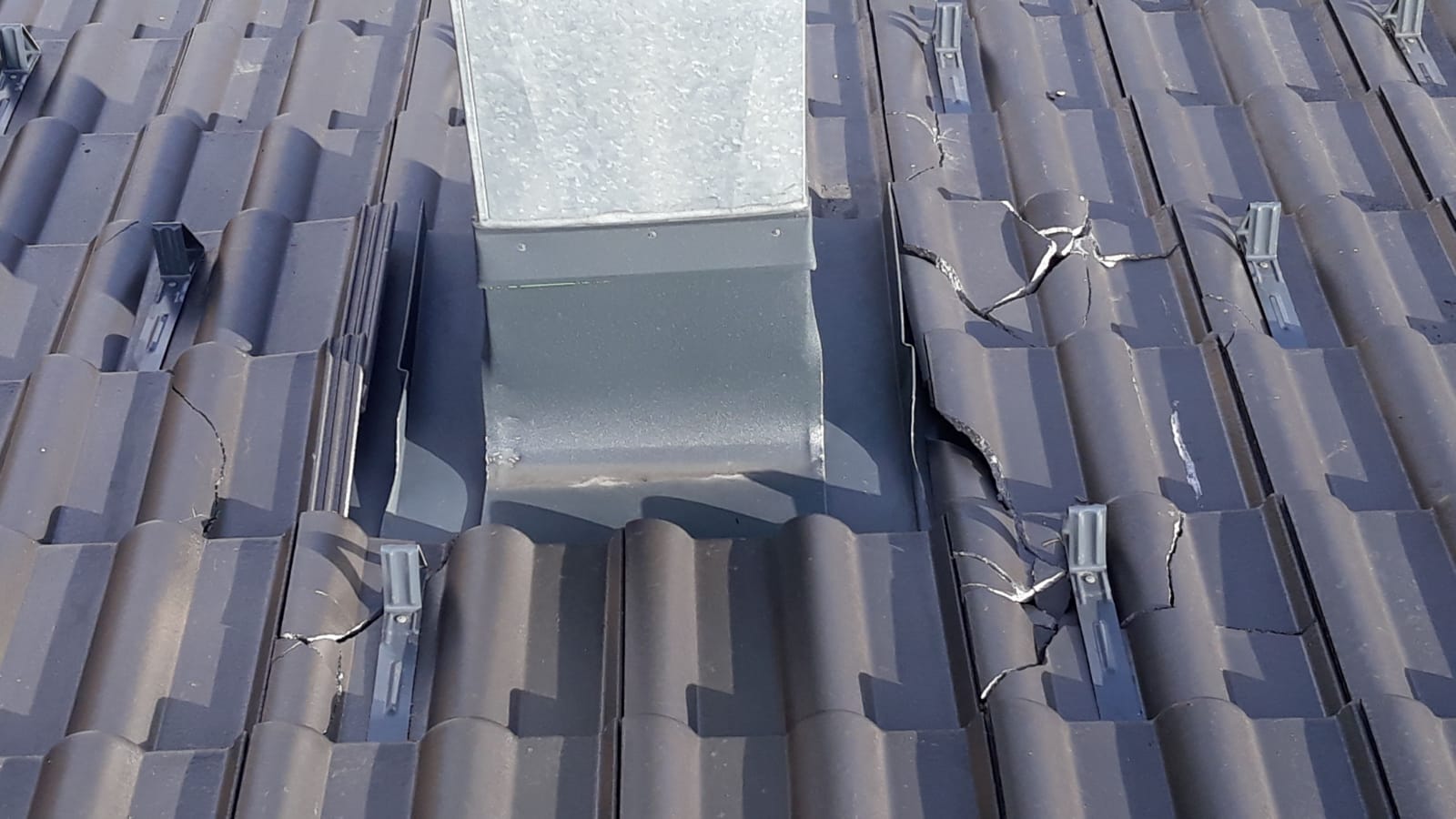 WhatsApp Image 2020-03-25 at 15.57.56.jpeg