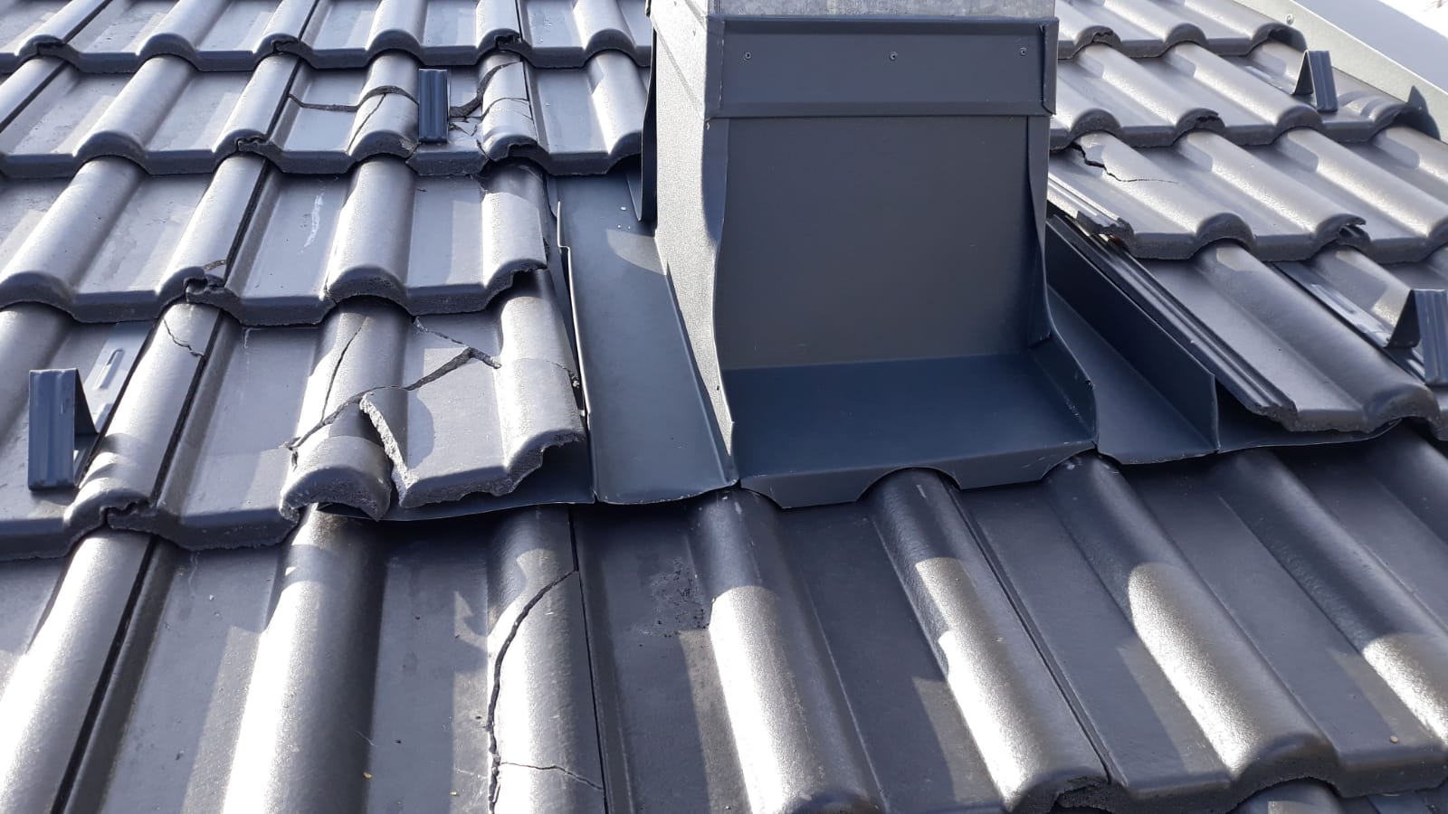 WhatsApp Image 2020-03-25 at 16.14.34.jpeg