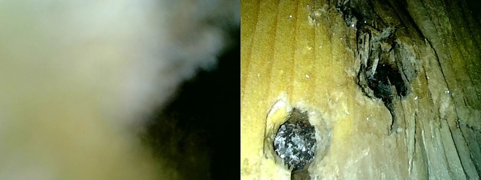 WhatsApp Image 2022-09-03 at 17.25.26 (1).jpeg