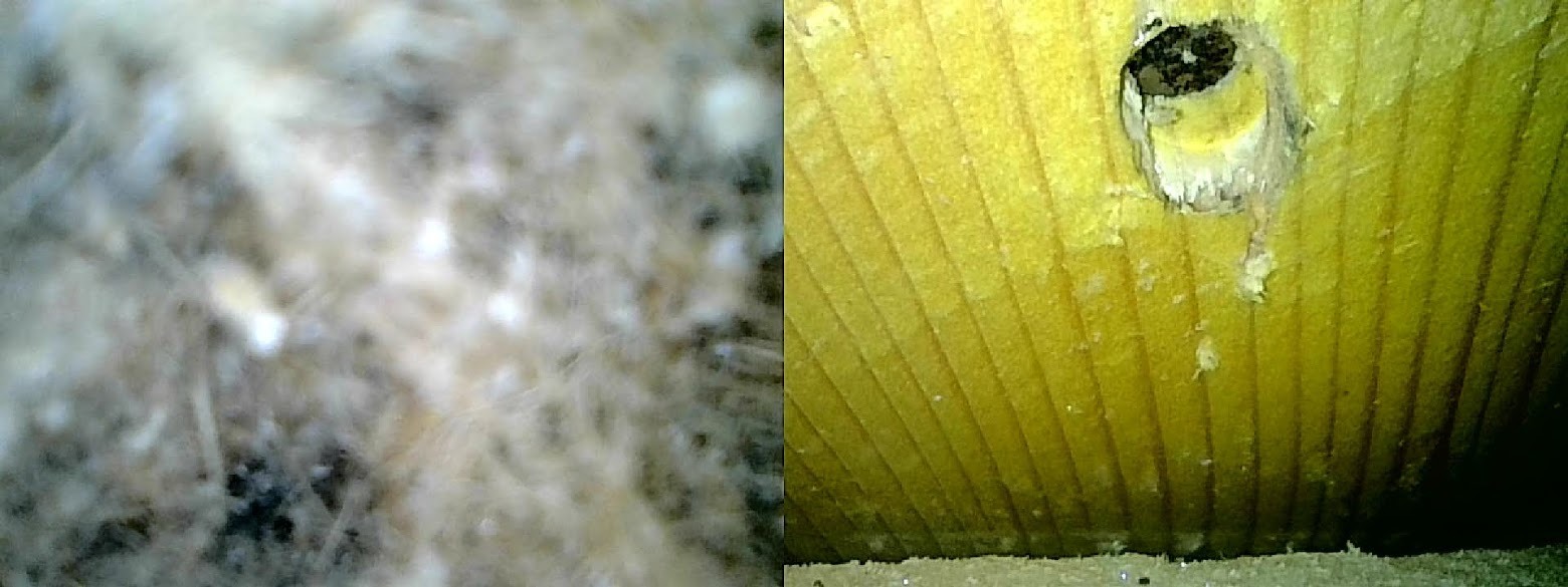 WhatsApp Image 2022-09-03 at 17.25.26 (2).jpeg